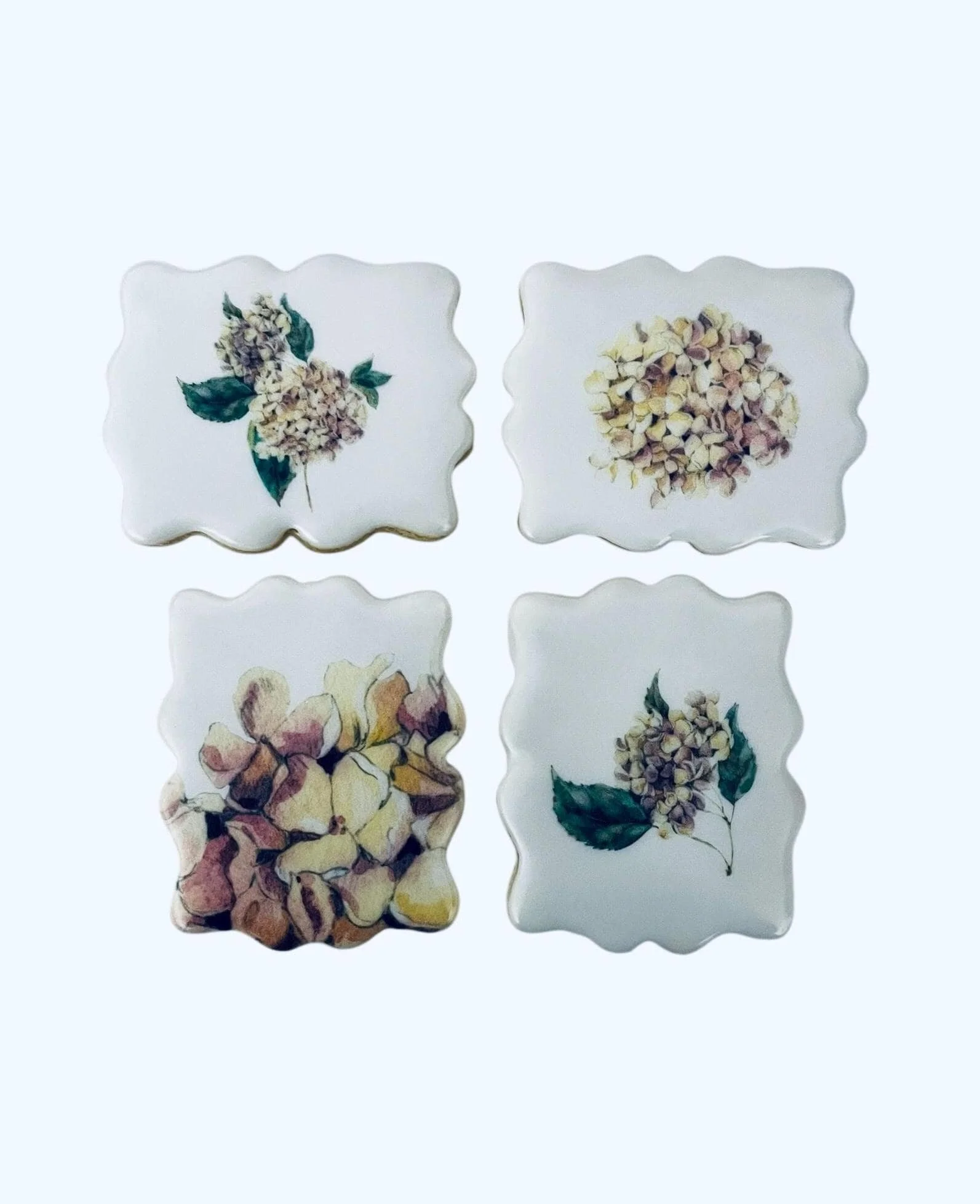 hydrangea floral cookie set
