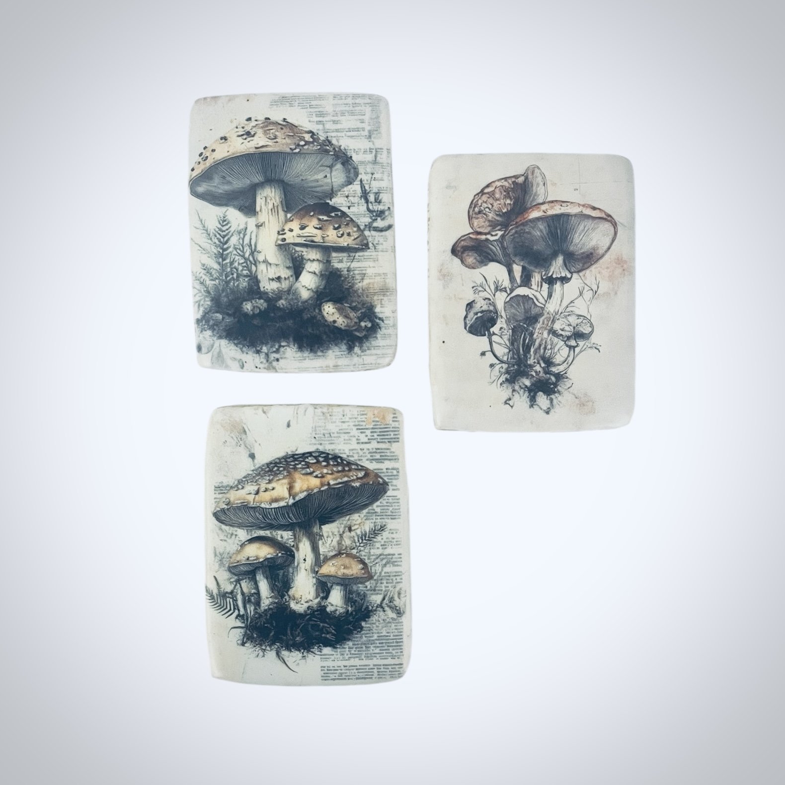 Whimsical mushroom printed cookies with storybook illustration and soft neutral tones, designed as art-lead edible pieces for curated gifting.