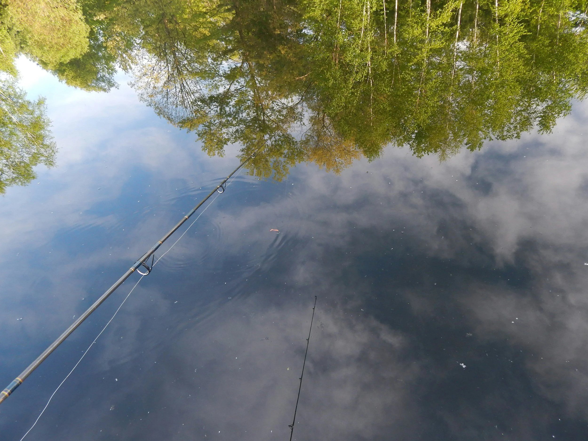 Fishing rods in a body of water reflecting the trees and cloudy sky.