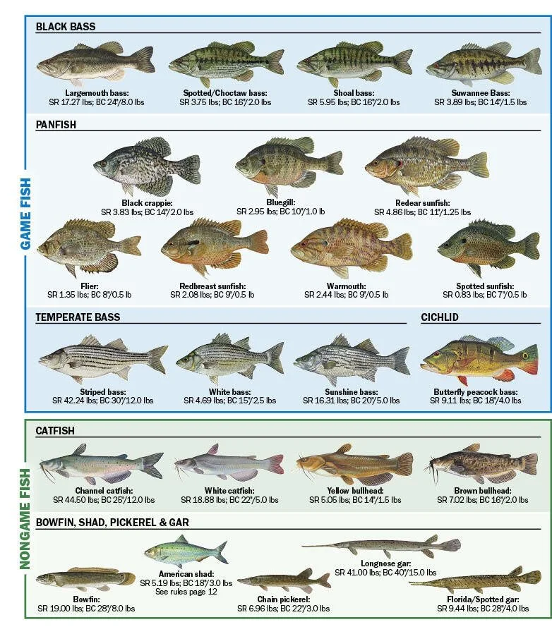 Florida Freashwater fish