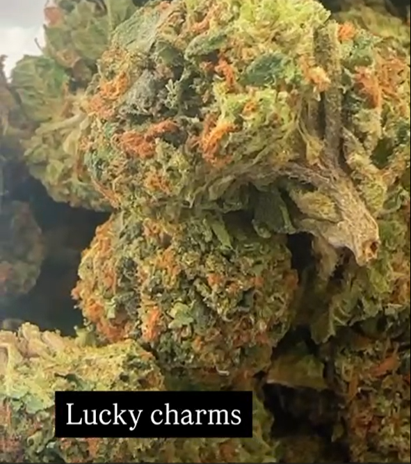 LUCKY+CHARM.png