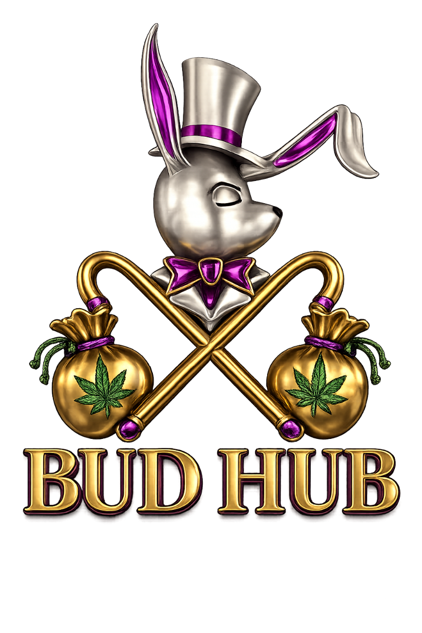 BUDHUB LOUNGE