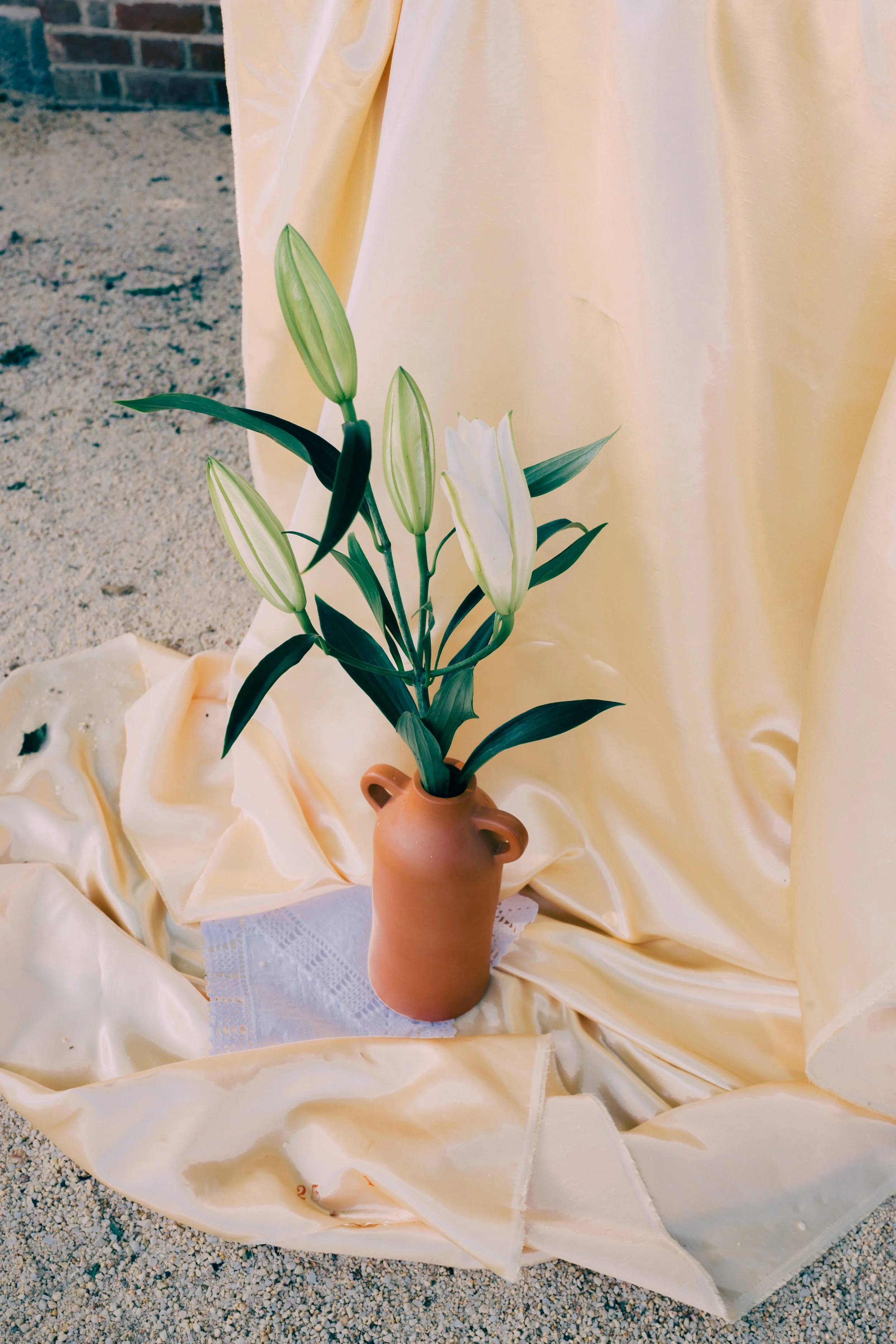 Dinner Extras-35.JPEG