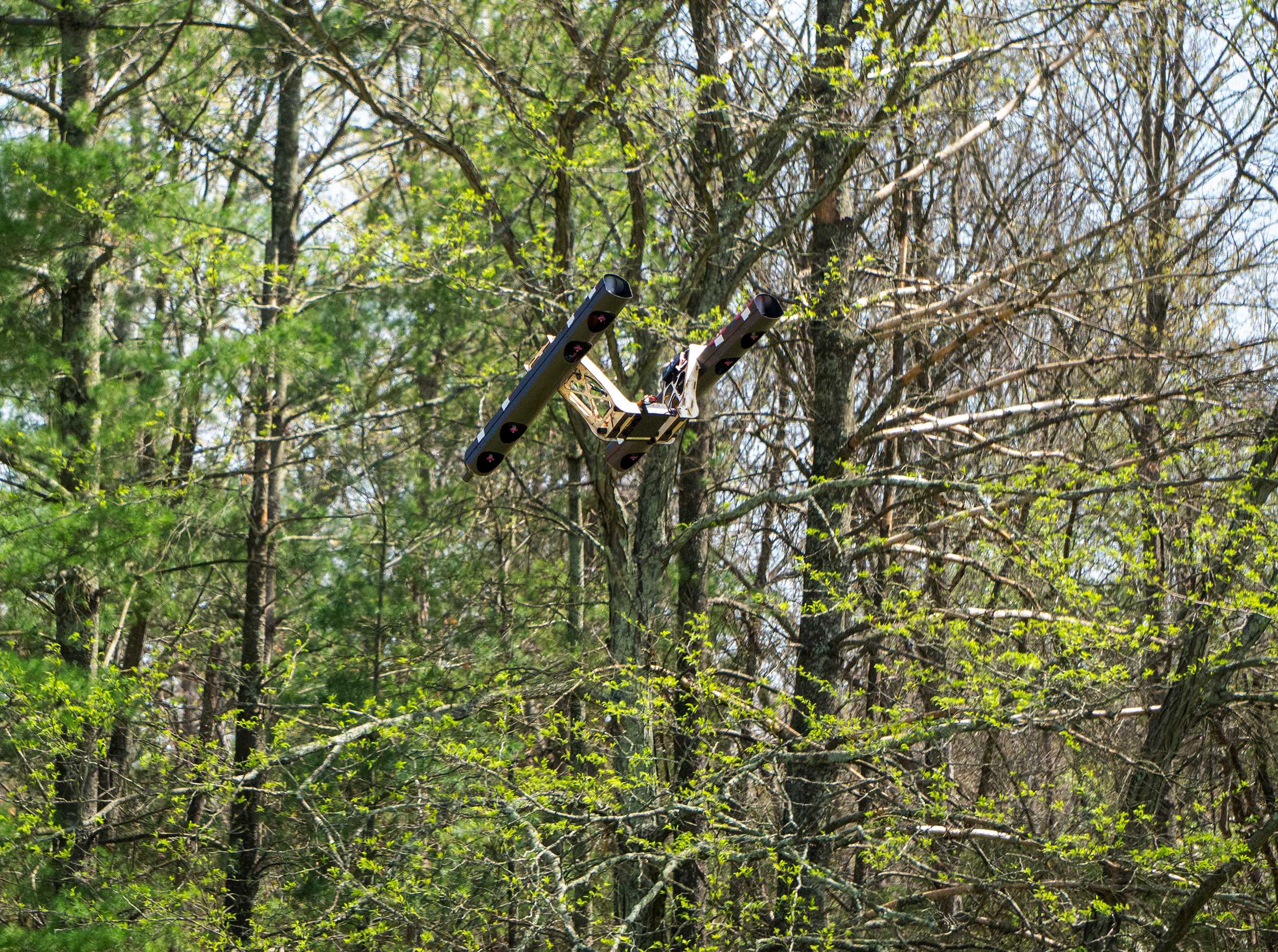 M1 CLRS Test feild Hover tree background Facing tward.png