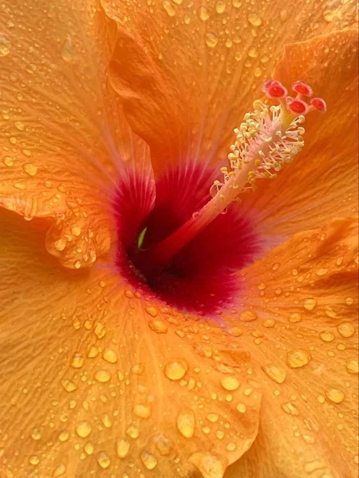 The New Years “Reframe”