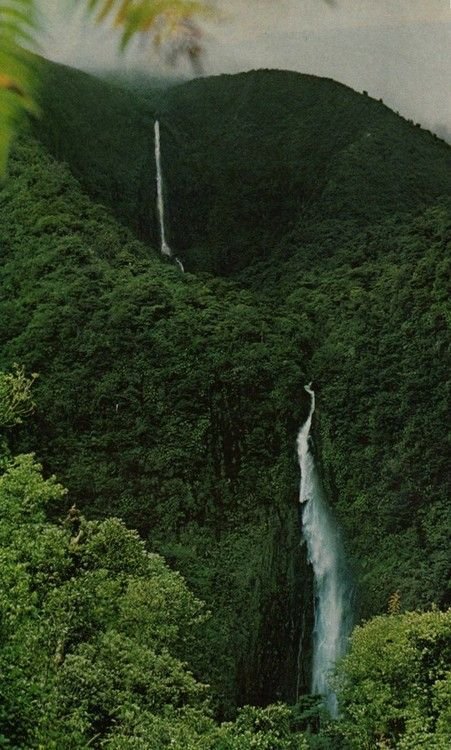 Kuleana