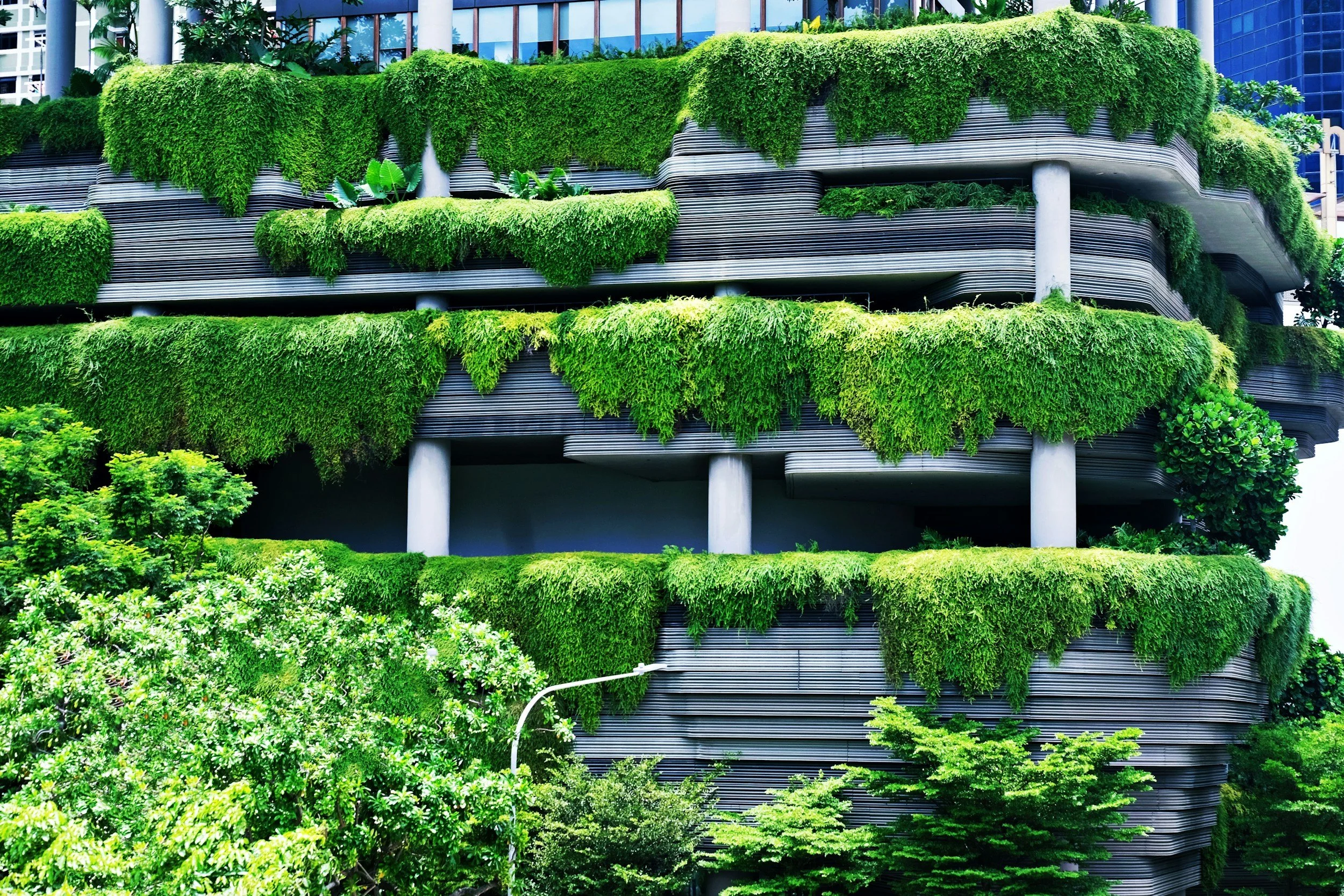 Green Infrastructure