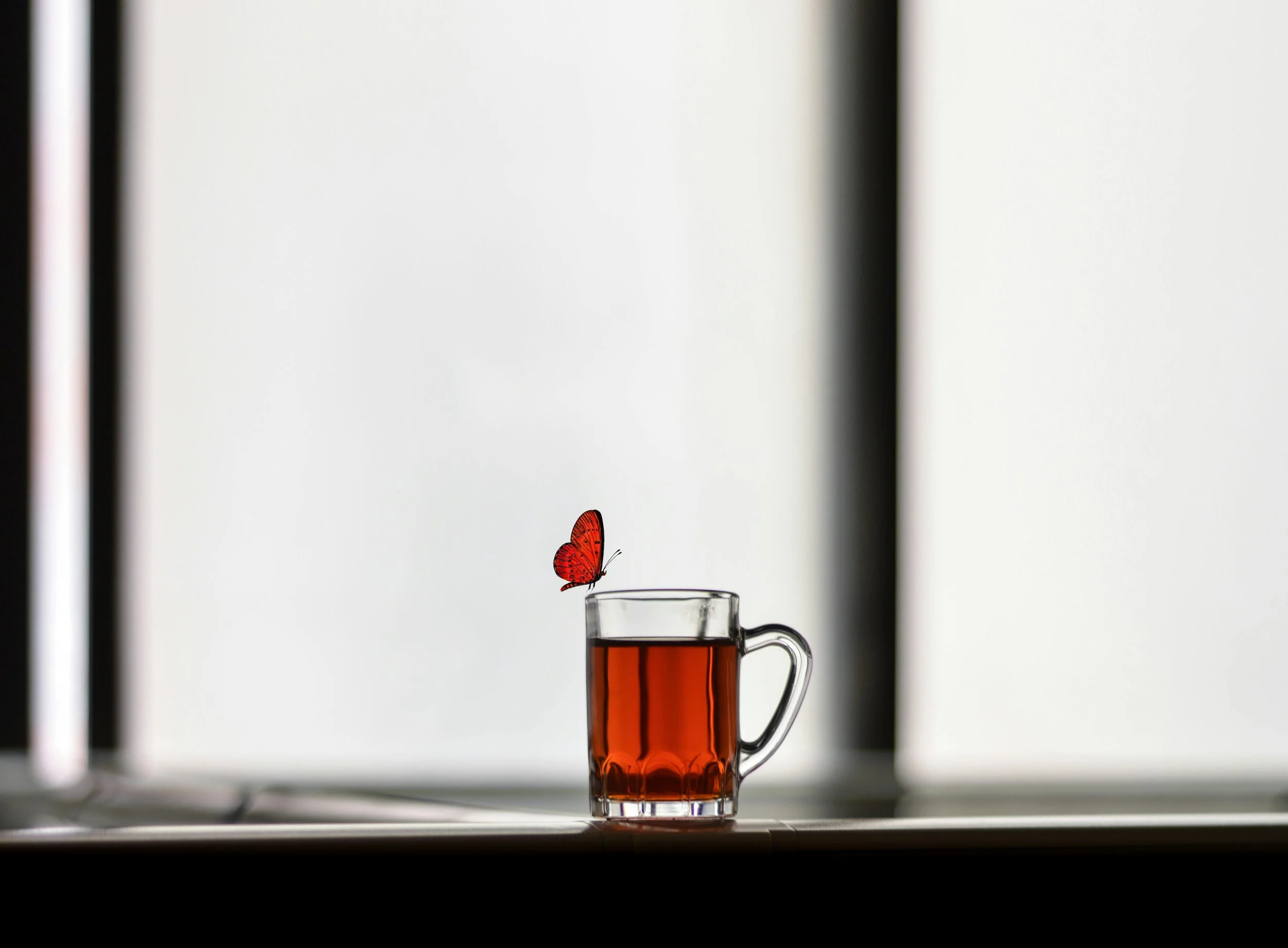 A clear glass mug filled with tea placed on a surface in front of a bright window, with a red butterfly perched on the edge of the mug.
