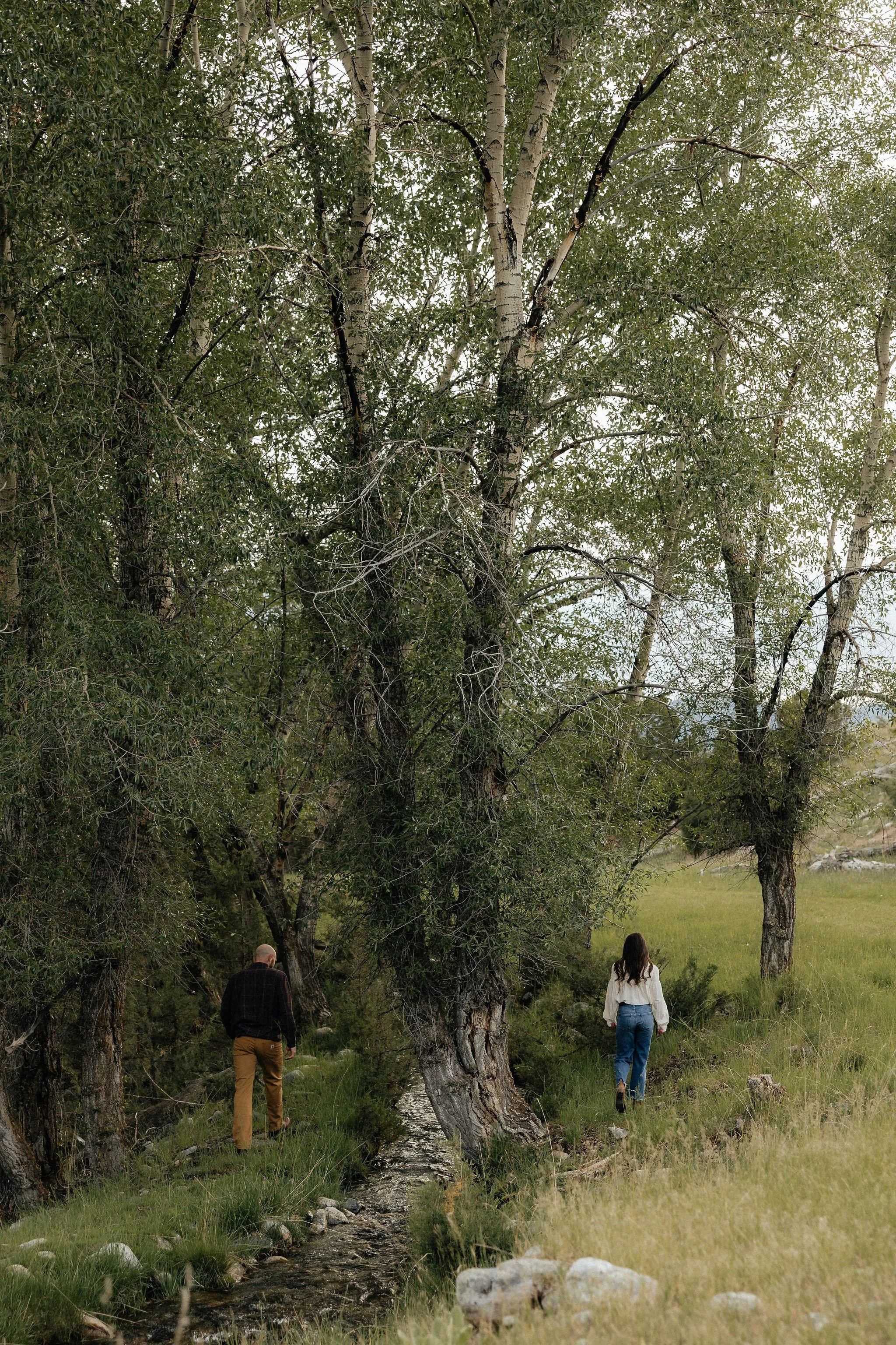 Weddings - Photography - Paradise Valley - Yellowstone National Park - Yellowstone - Deep Creek Meadows Ranch - Destination Weddings Weekend Celebrations - Elopements - Micro Weddings