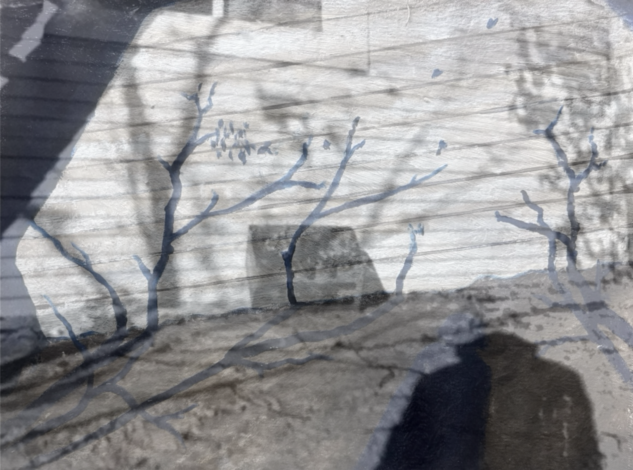 SIX_EA5F2B5C-256E-44B7-A55F-CEE6348EF9FD.png