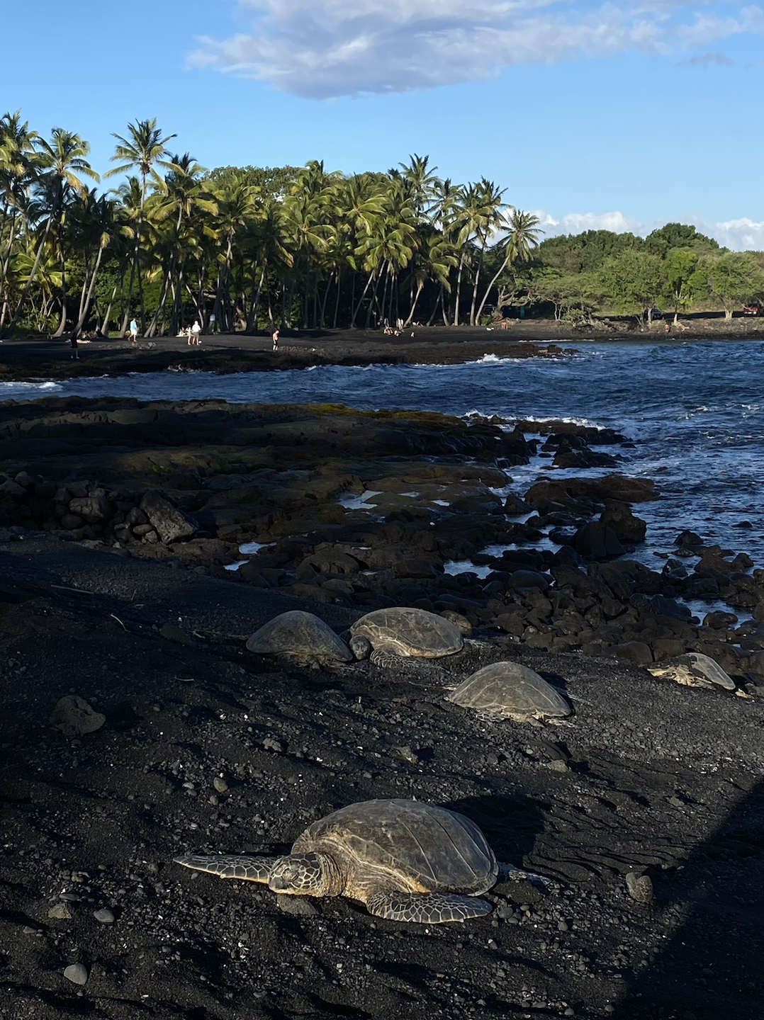 Screenshot 2025-12-12 at 8.30.20 PM.png