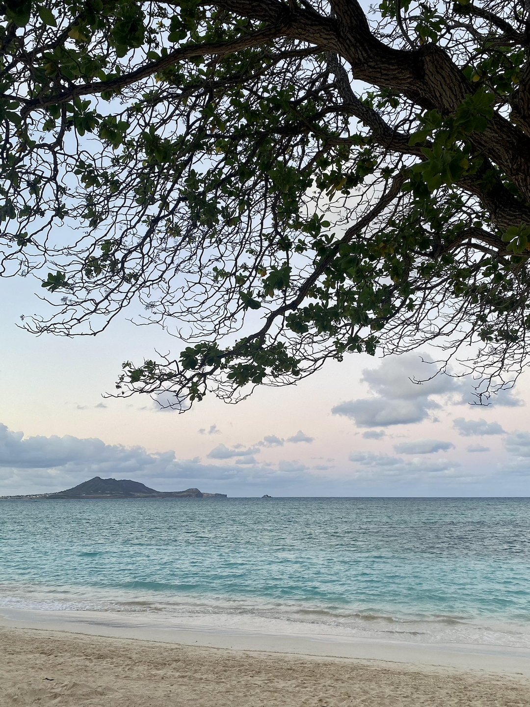 Screenshot 2025-12-12 at 8.29.24 PM.png