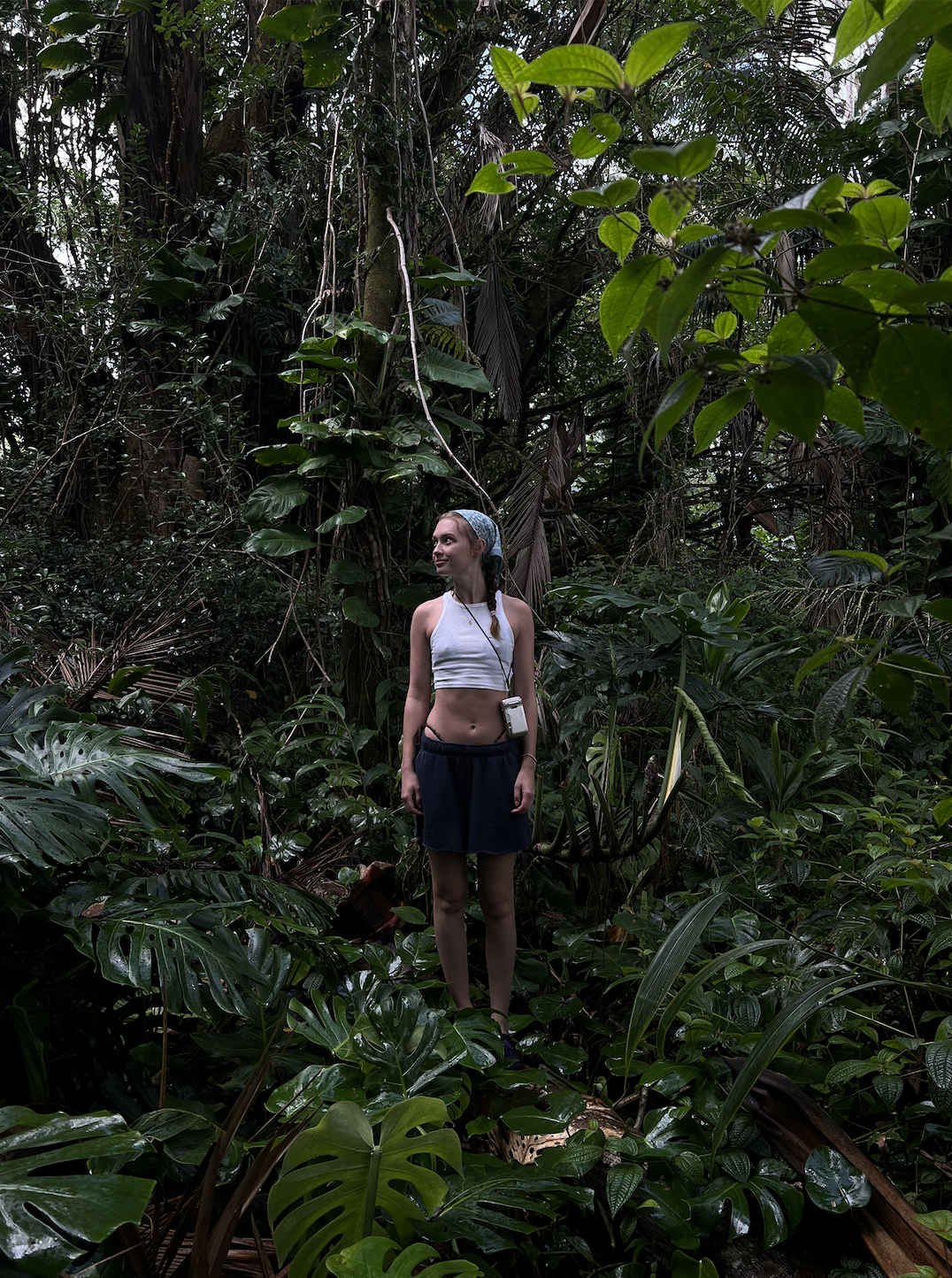 Screenshot 2025-12-12 at 8.30.09 PM.png