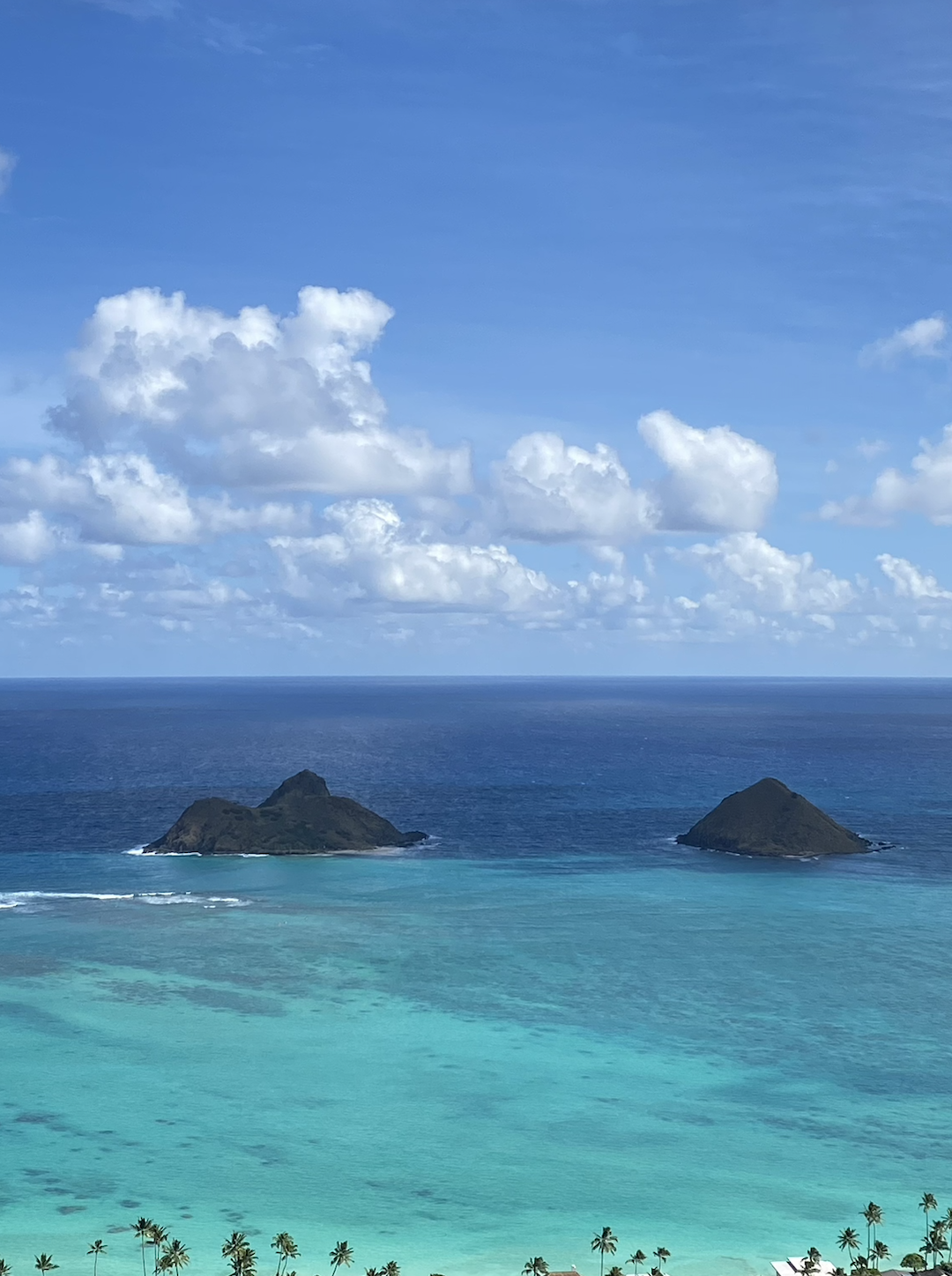 Screenshot 2025-12-12 at 8.29.38 PM.png