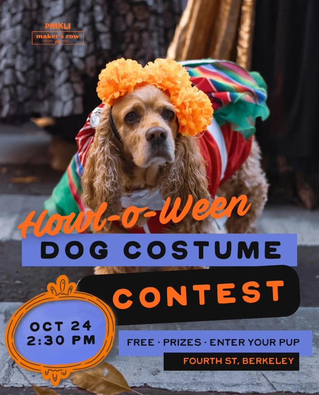 Calling all costumed pups 🎃🐾

Howl-O-Ween is THIS Saturday at Fourth Street Makers Row in Berkeley! Bring your best-dressed dog for our costume contest at 2:30pm. It&rsquo;s free to enter, and yes, there are prizes.

Plus: meet adoptable pups from 