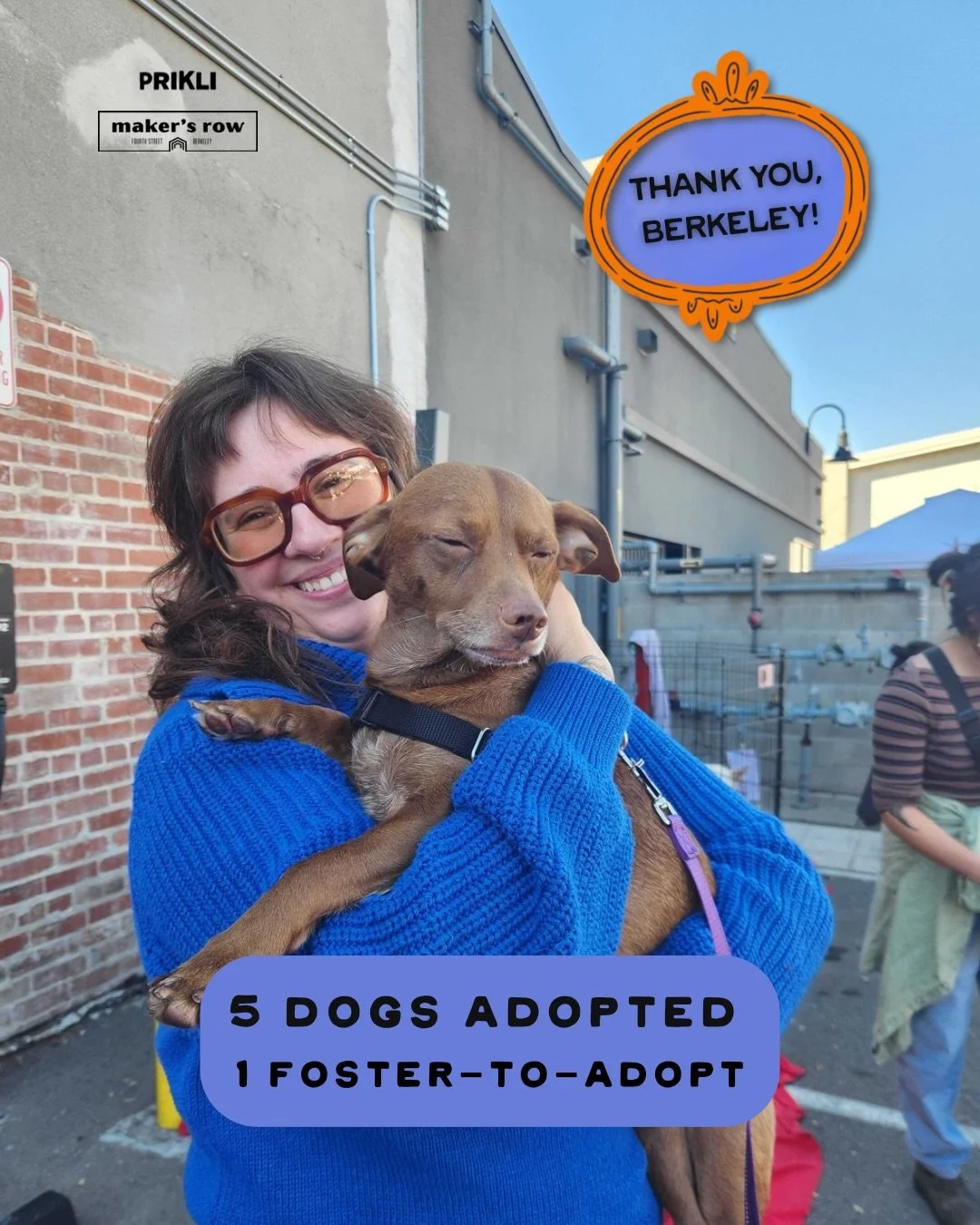 Six dogs went home with new families yesterday. 🐾 Swipe to meet them 👉

Thank you, Berkeley, for showing up to Howl-o-Ween on Fourth Street with your costumes, your pups, and your open hearts. And the biggest thank you to @rocketdogrescue and @nors