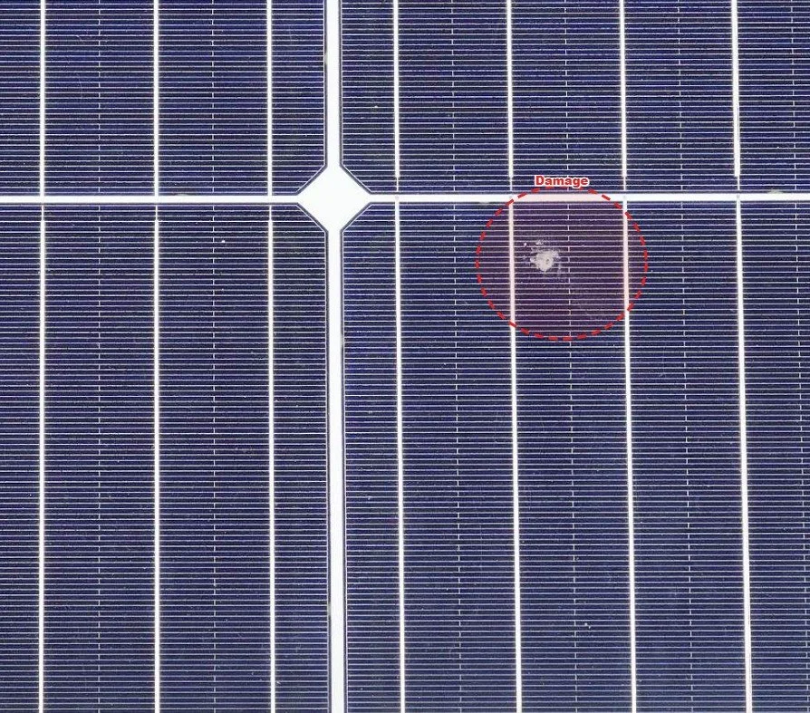 Screenshot 2026-07-03 143855.jpg