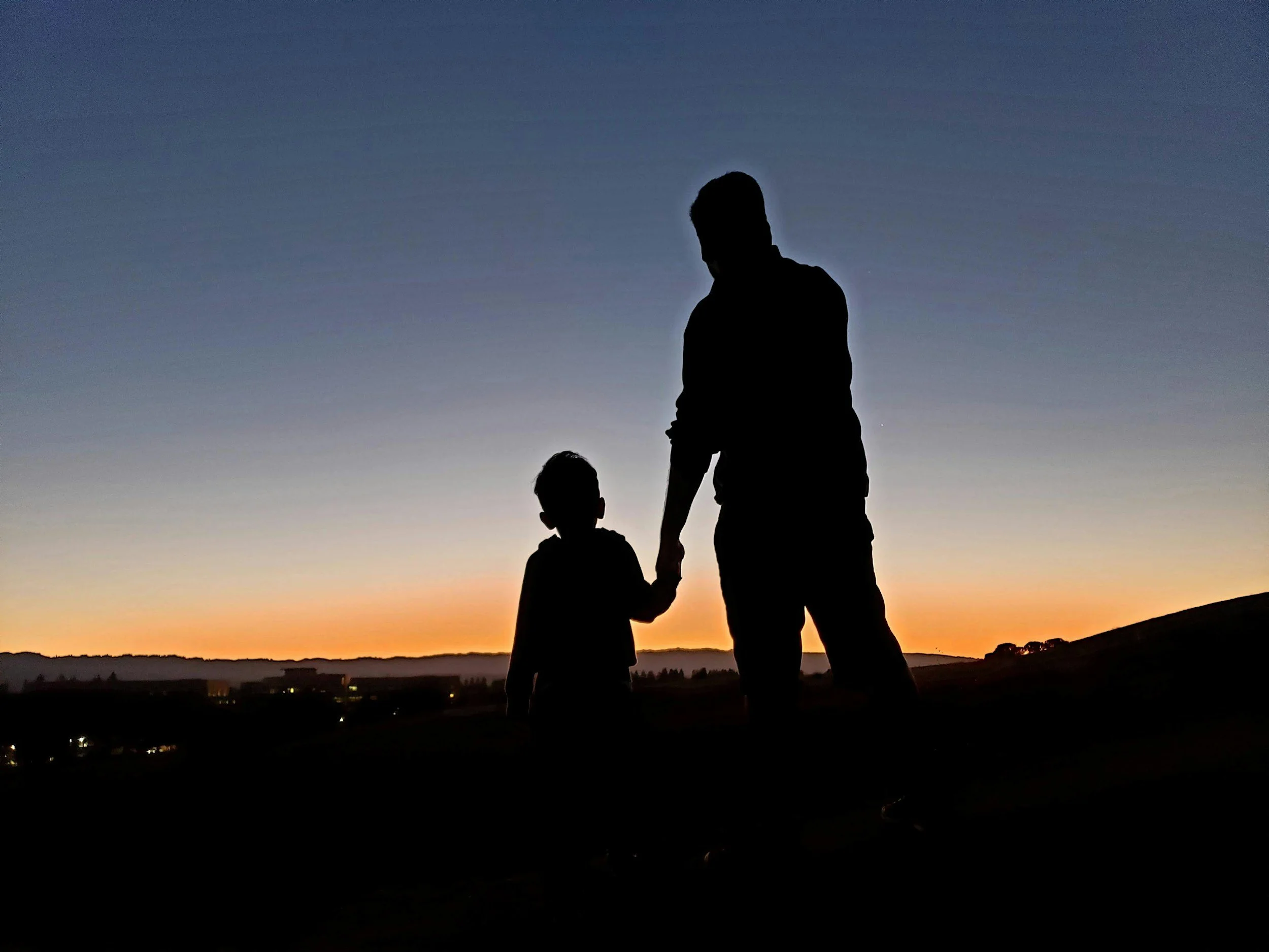Silhouettes of an adult and a child holding hands against a sunset sky with distant hills.