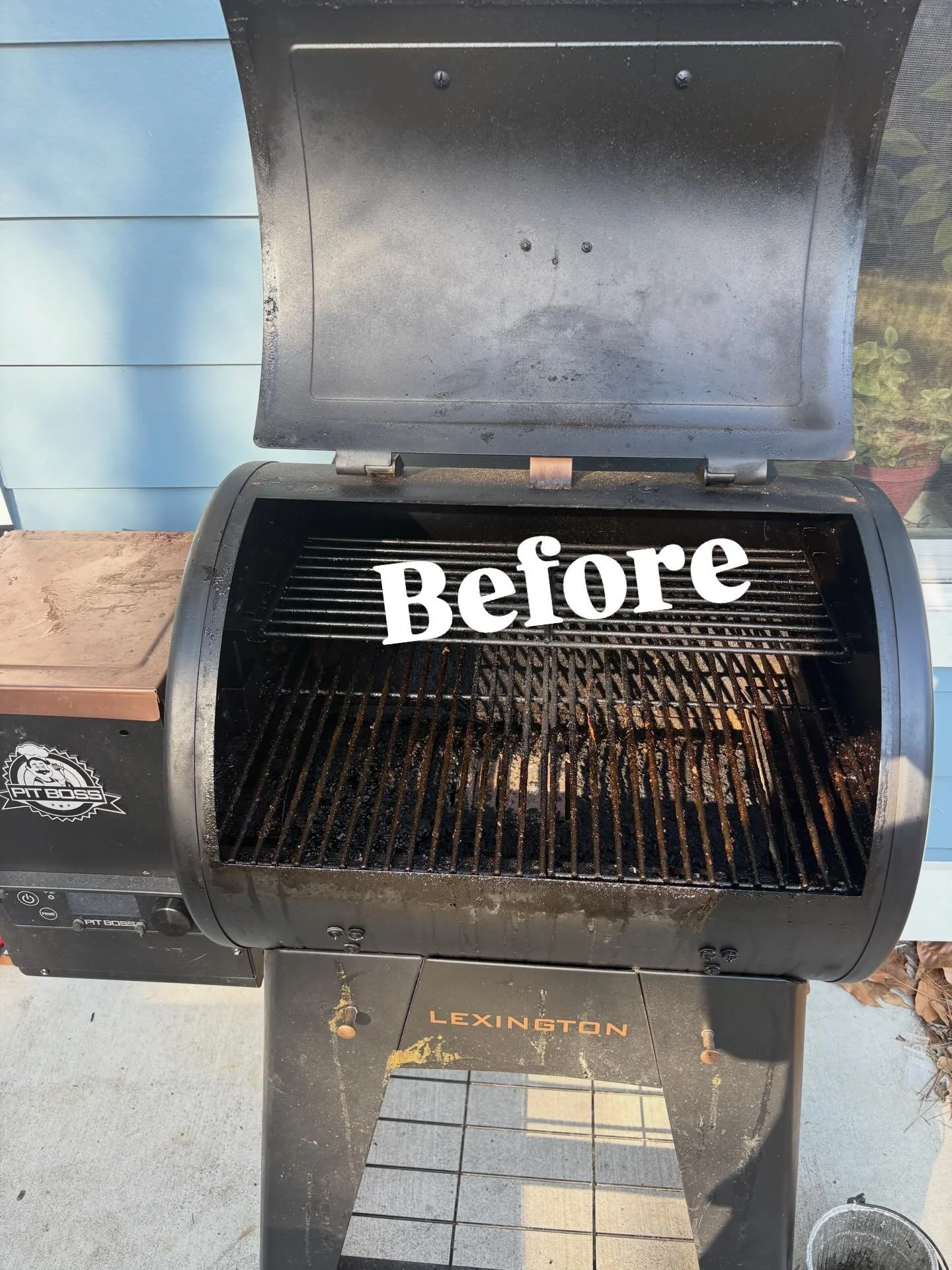 Pit Boss became Mr Worldwide after this clean. 🧼