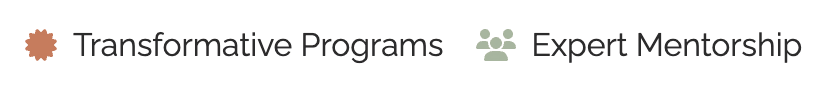 Transformative Program & Expert Mentorship