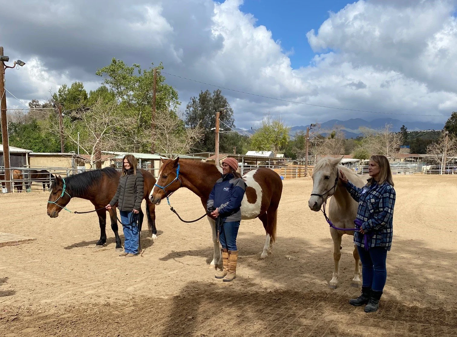 Advanced Facilitation Training - Fall 2026 Dates Coming Soon