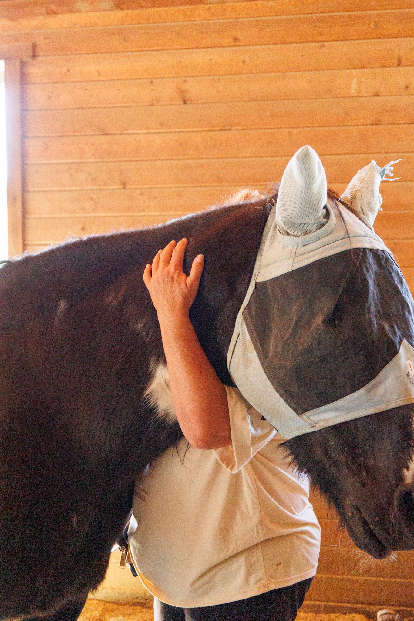 A man with glasses, dark wavy hair, and facial hair looks to the right, wearing a dark sweater, with a plant and neutral background behind him.