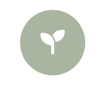 Icon of a young sprout or seedling with two leaves inside a light green circle