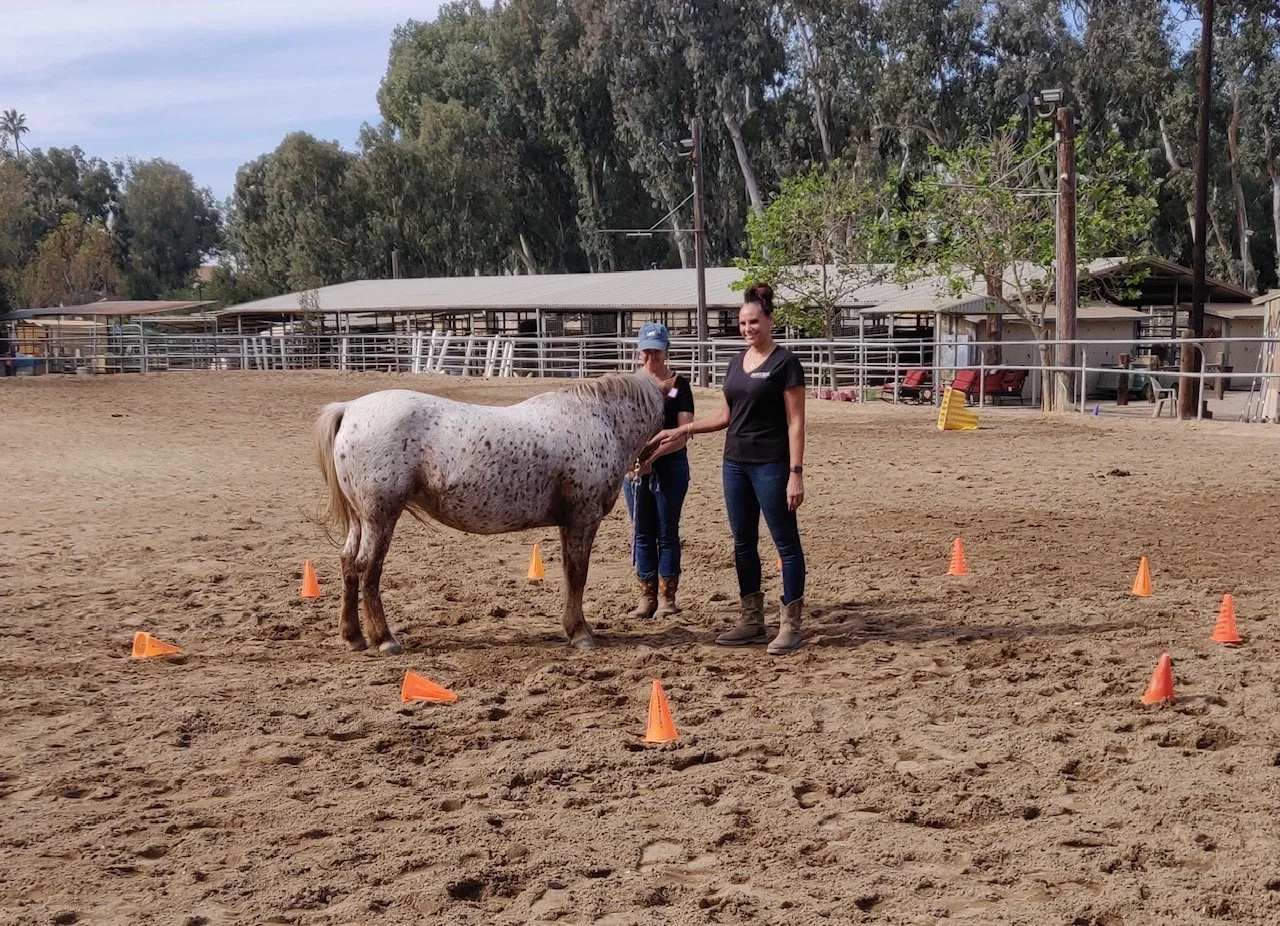 A woman and a young girl smiling and holding the head of a small white and gray speckled horse in a horse training arena, with orange cones arranged in a circle around them.