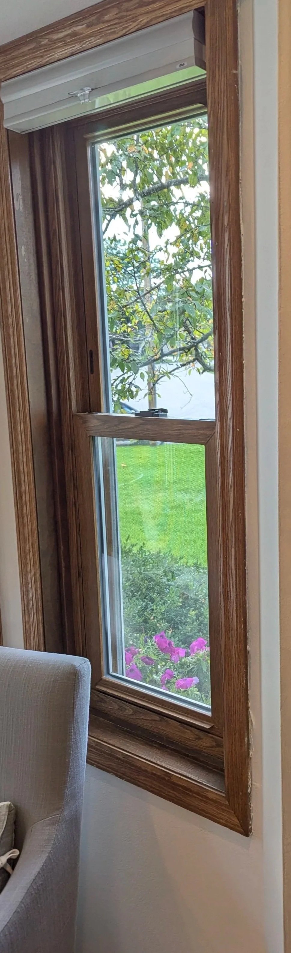 Right Window Trim Detailing - BEFORE