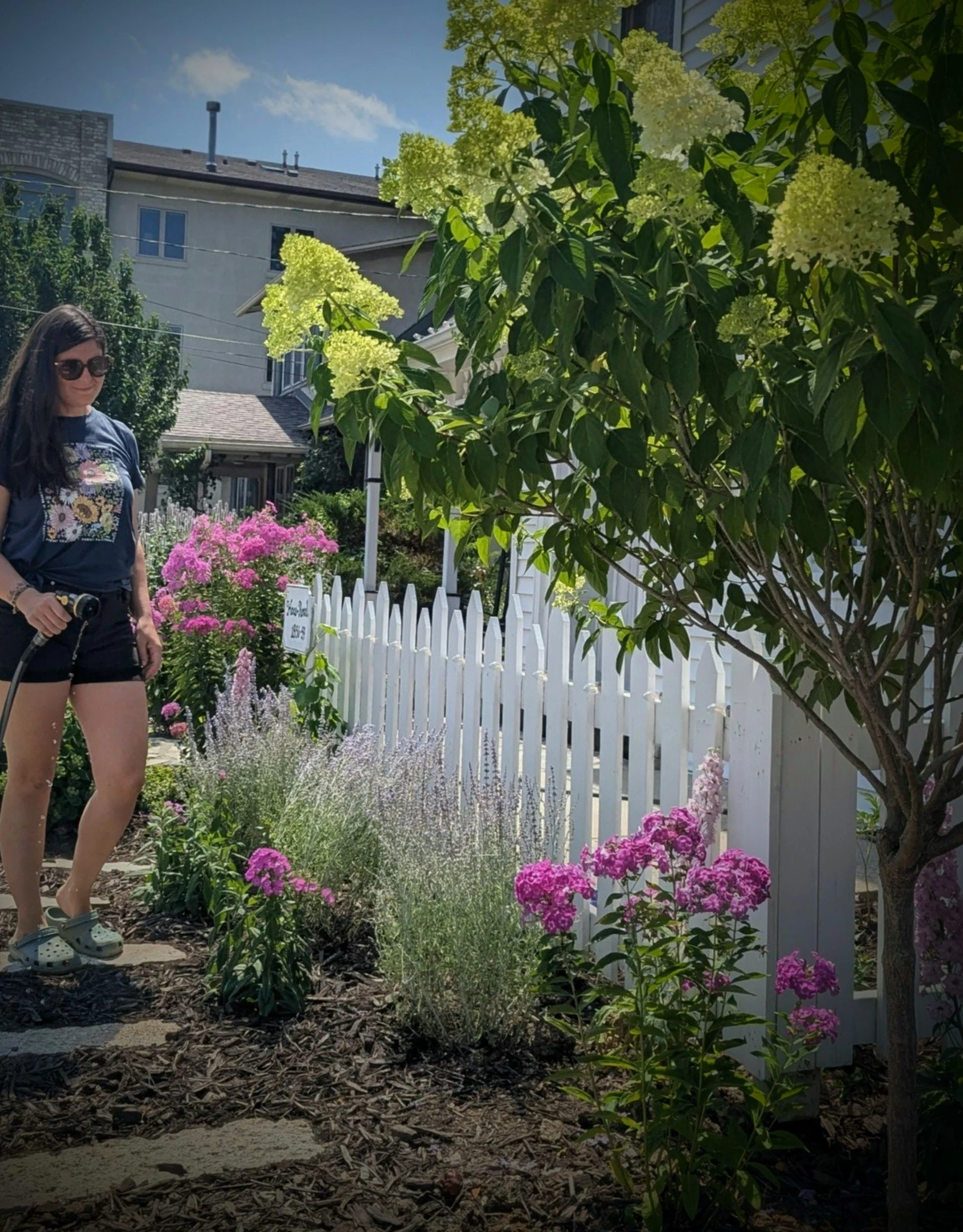 Garden and Landscape