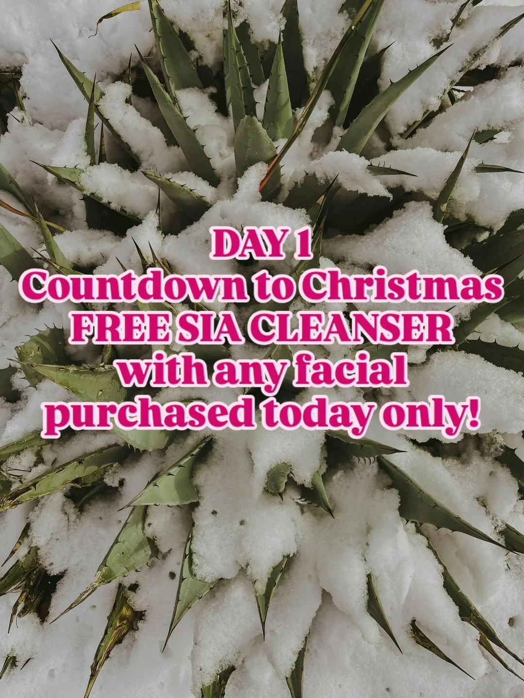 DAY 1 OF OUR CHRISTMAS COUNTDOWN 🎄

Purchase any facial TODAY ONLY and receive a FREE Sia Botanics Cleanser!
Our favorite plant-based, non-toxic cleanser for healthy, glowing skin.

Perfect for sensitive, aging, or desert-dry skin 🌵
Plant-based. Sk