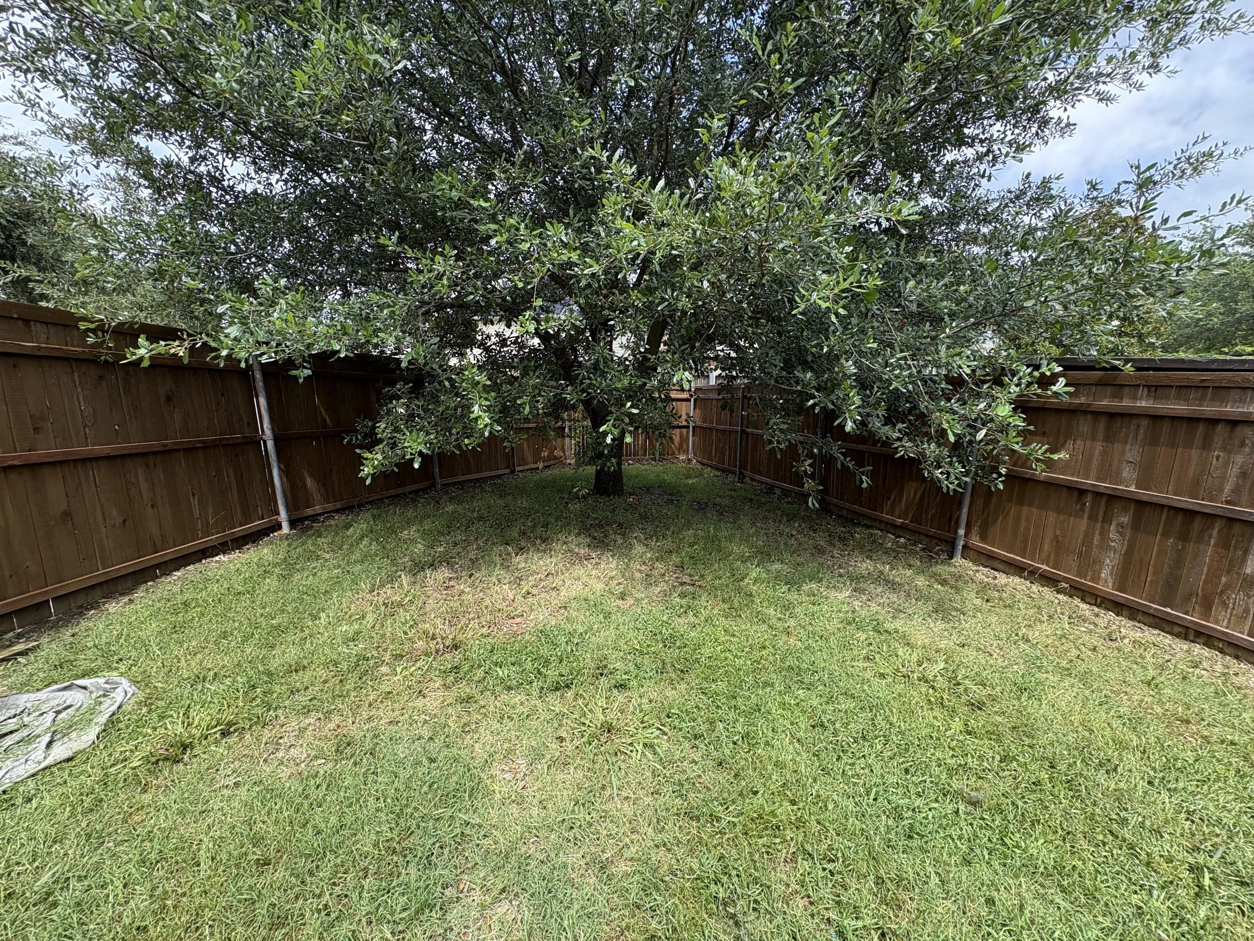 Backyard with a large tree, grass lawn, and a wooden fence