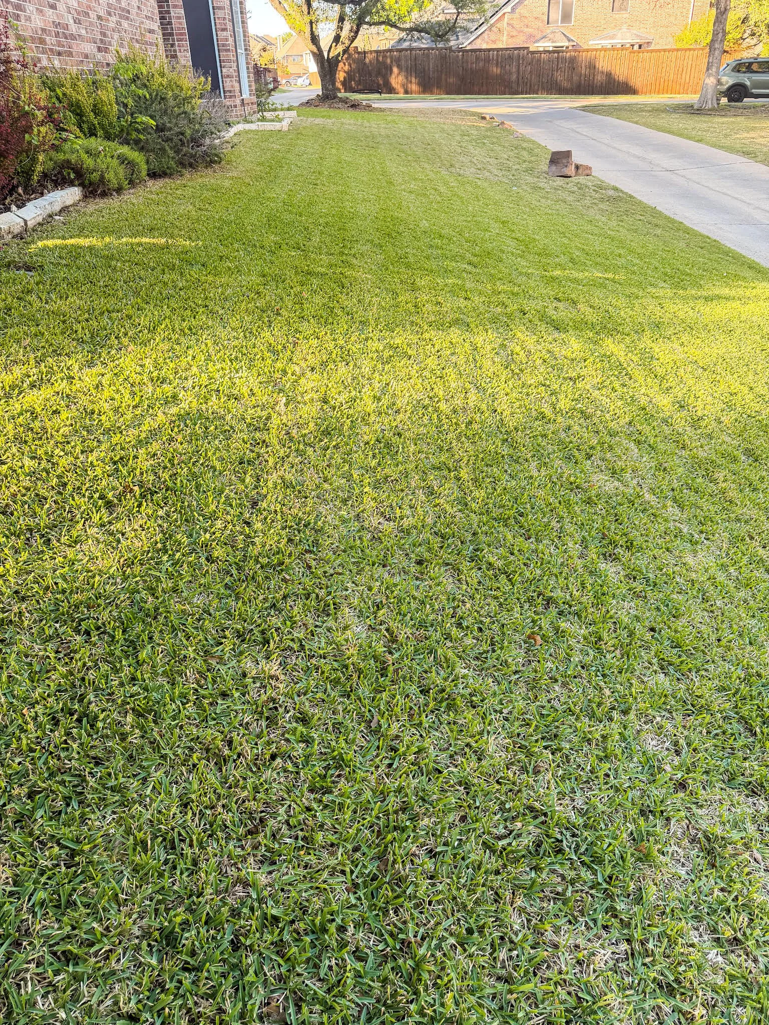Lawn Service