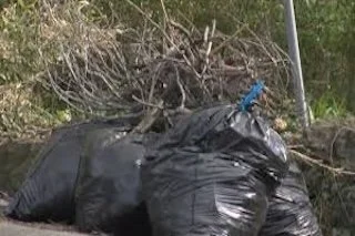 Yard Waste & Debris Hauling