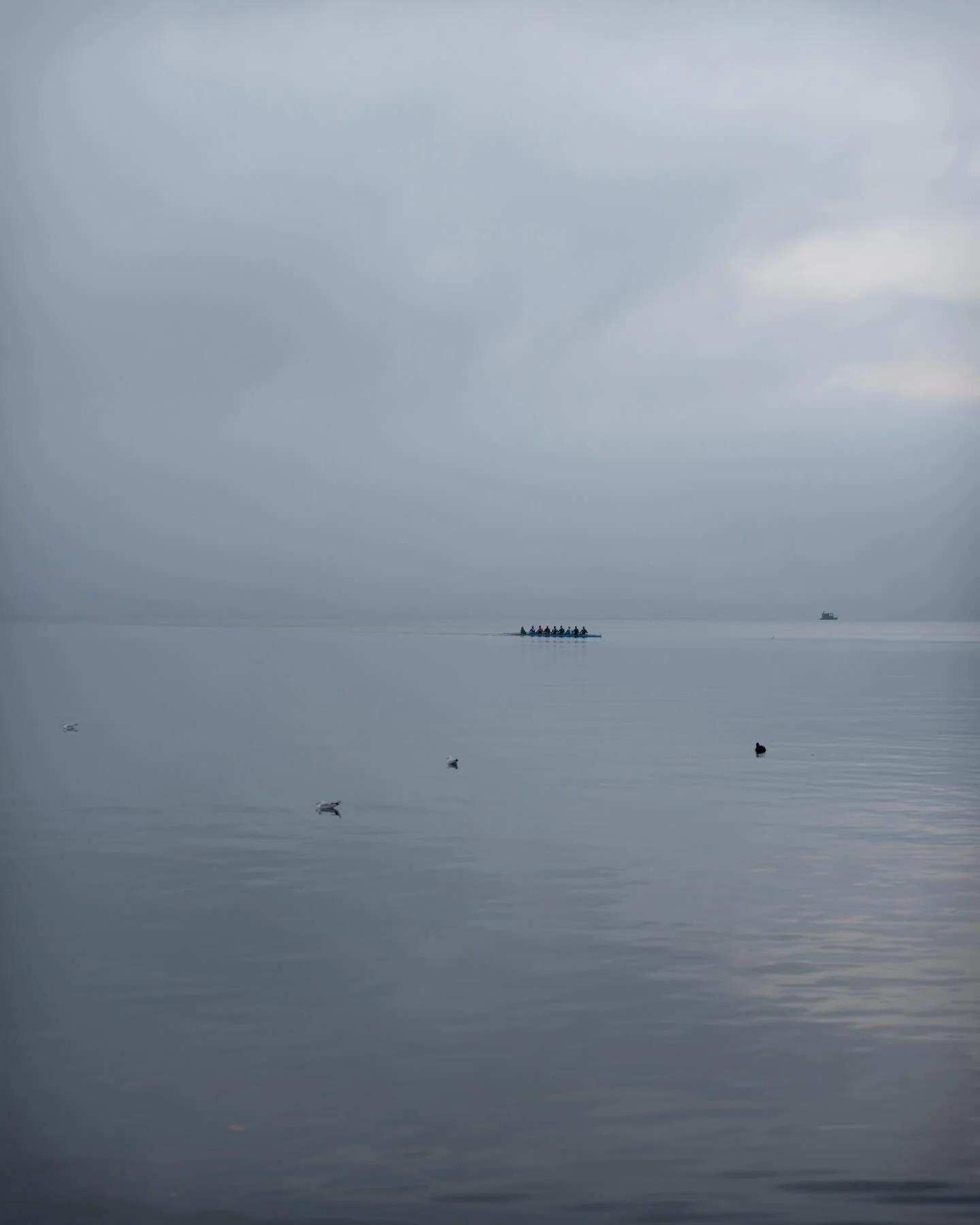 2026.01.17 - Rowing in the Myst
&hellip;
Place: Z&uuml;rich Lake, Z&uuml;rich, Switzerland 
Camera: Leica Q3 43
Edits: Lightroom CC
&hellip;
Taken during the @philpenman MasterClass organized by @leica_camera_schweiz|@andreas.dibbern.
&hellip;.
Copyr