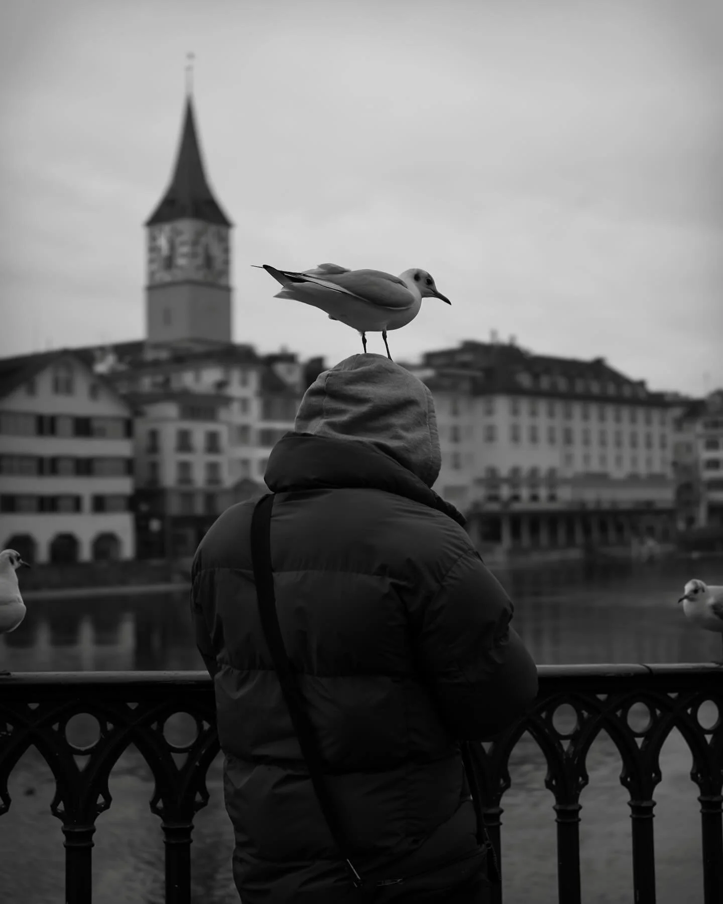 2026.01.17 - The Seagull&rsquo;s Man 
&hellip;
Place: Limmat, Z&uuml;rich, Switzerland 
Camera: Leica Q3 43
Edits: Lightroom CC
&hellip;
Taken during the @philpenman MasterClass organized by @leica_camera_schweiz | @andreas.dibbern.
&hellip;.
Copyrig
