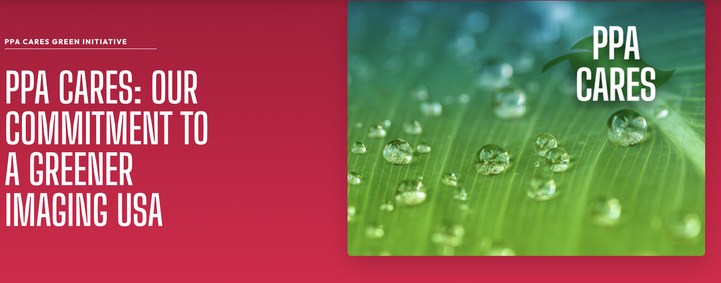 Screenshot 2026-03-31 at 3.44.03 PM.png