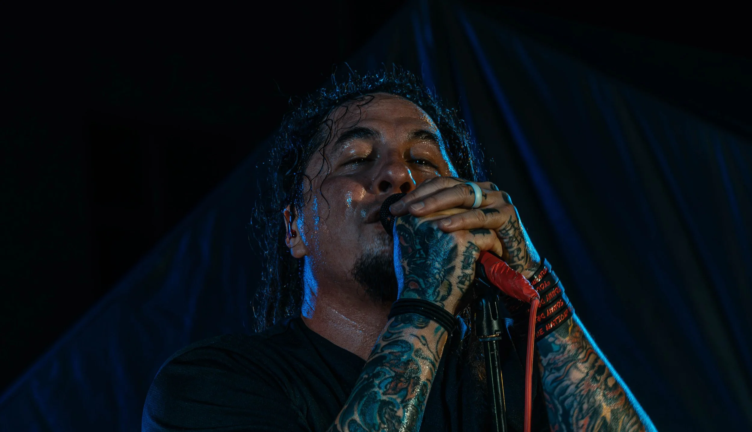 P.O.D-04005.jpg