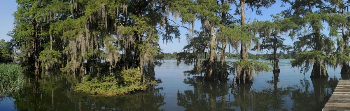 Sociology 2278: Climate Sociology