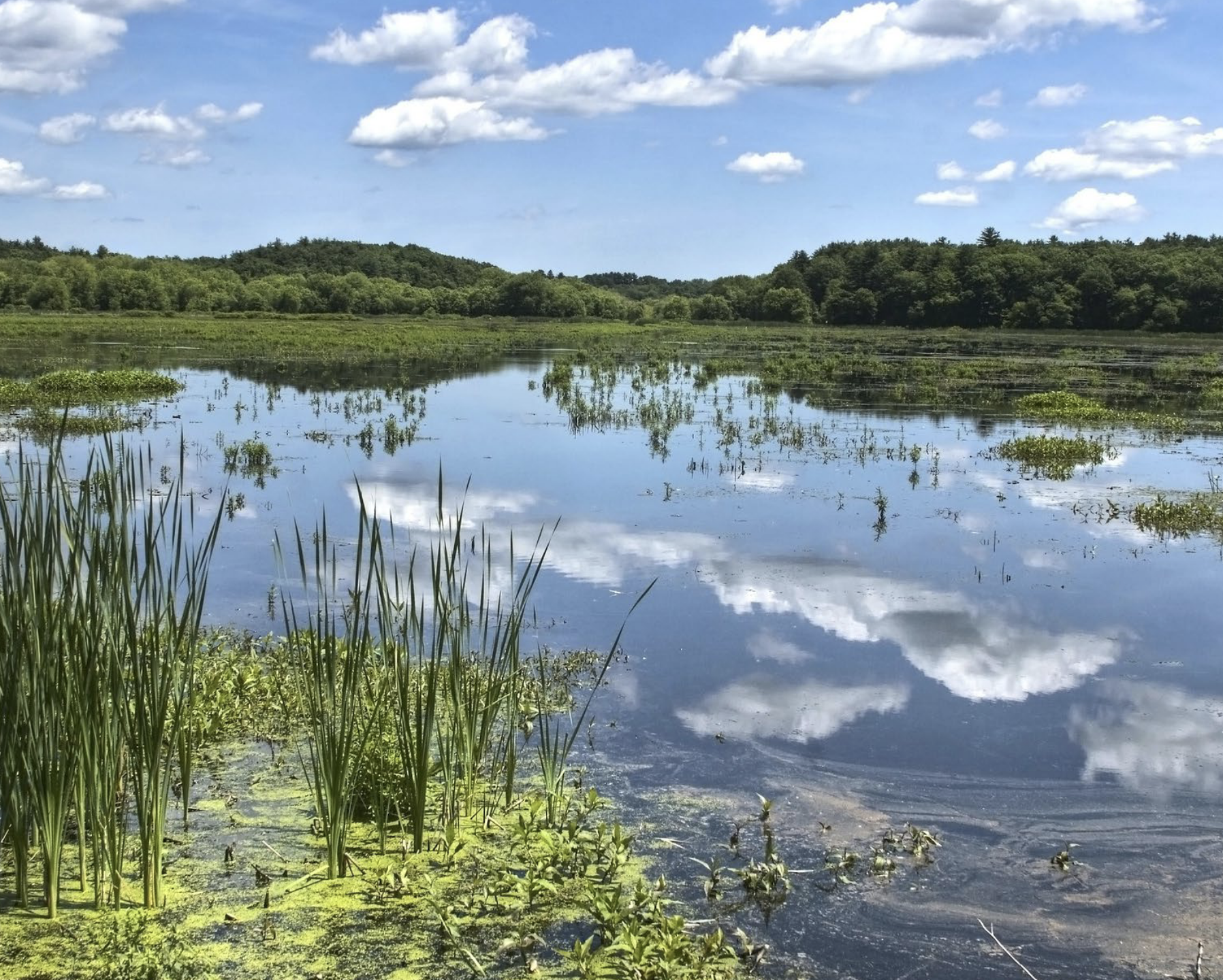 Sociology 92r: Faculty Research Assistant Program