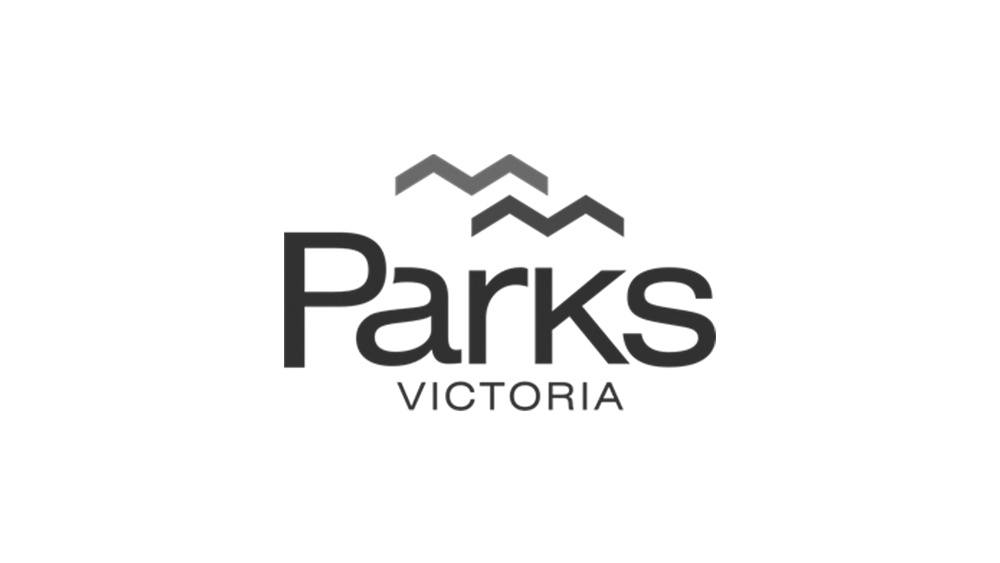 logo2.png