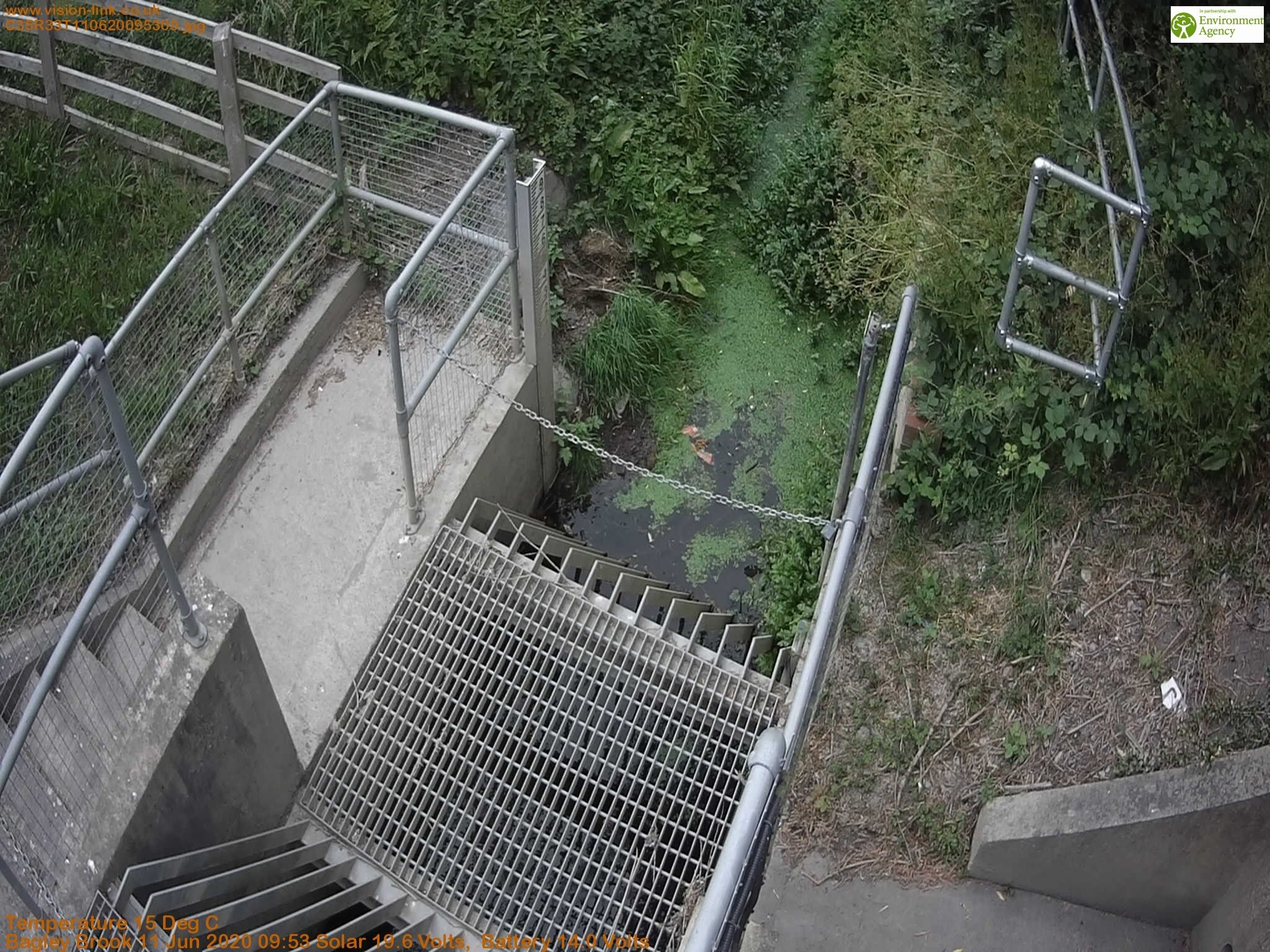 C35R33T110620095309.jpg