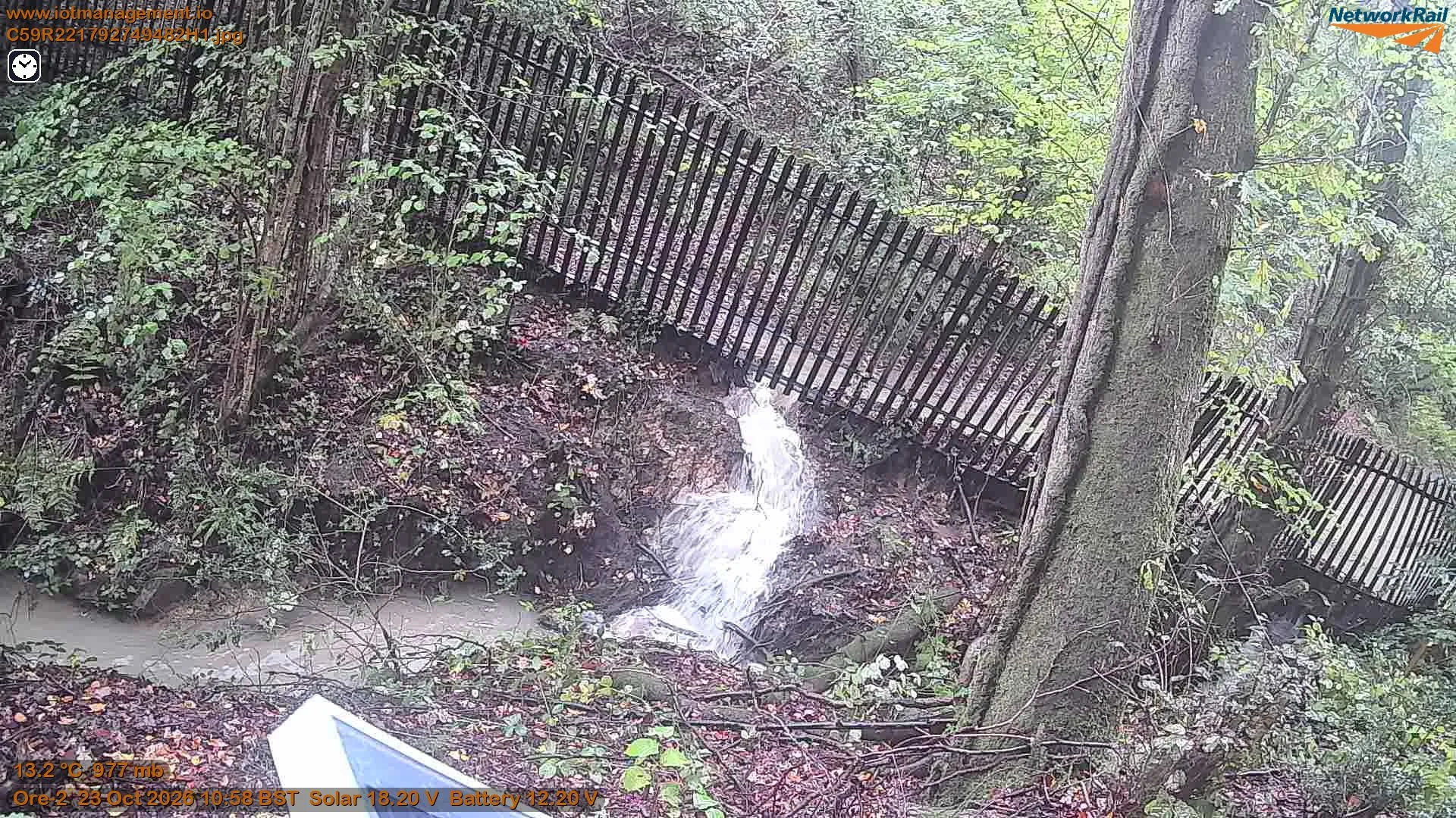 A small creek with flowing water is seen near a wooded area with trees and bushes. There is a black metal fence curving along the edge of the wooded area, and a large tree trunk is visible on the right side of the image. The scene appears to be in a park or nature reserve.