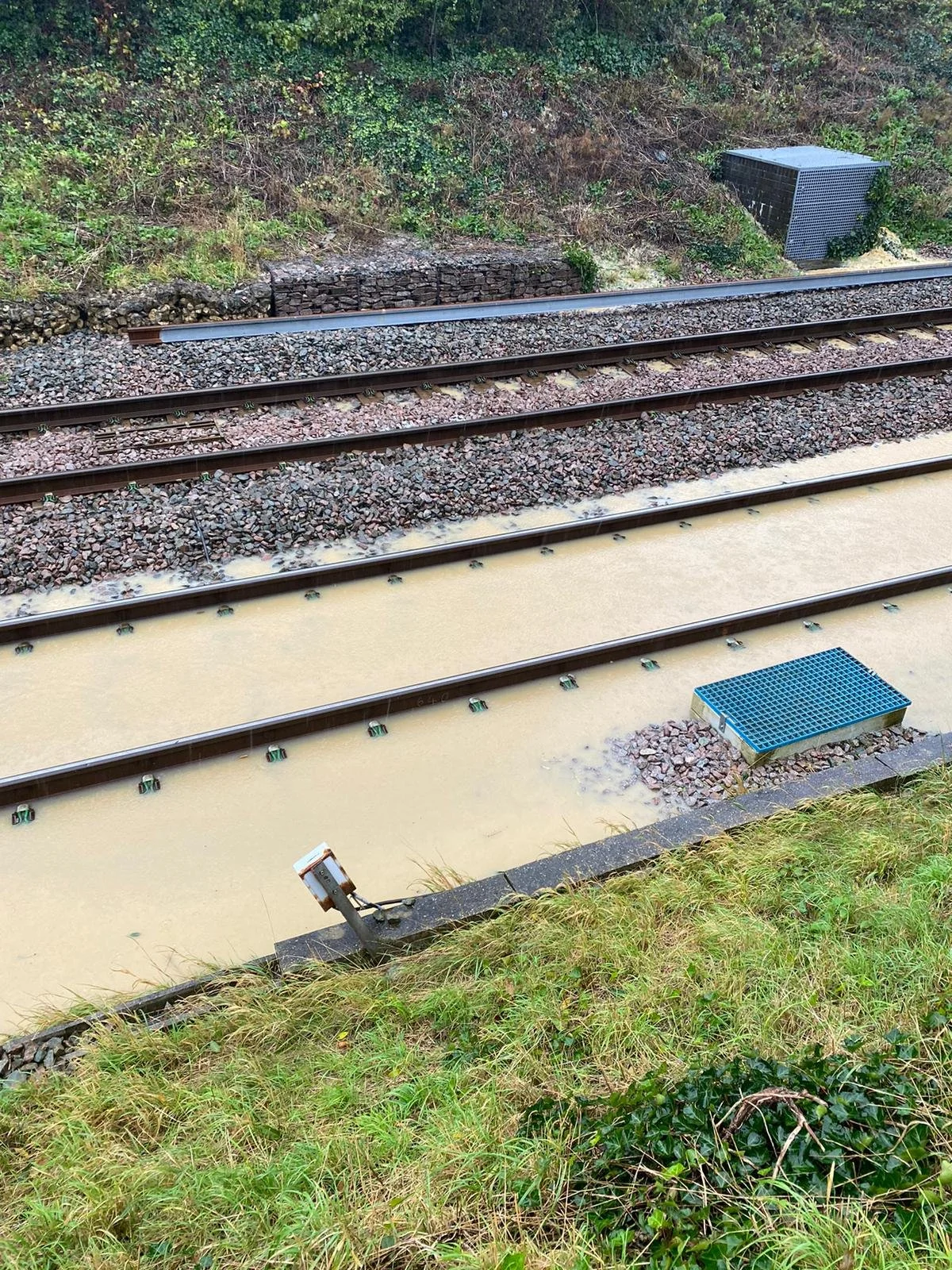 View of train tracks with a waterlogged area and a drainage grate, surrounded by grass and bushes.