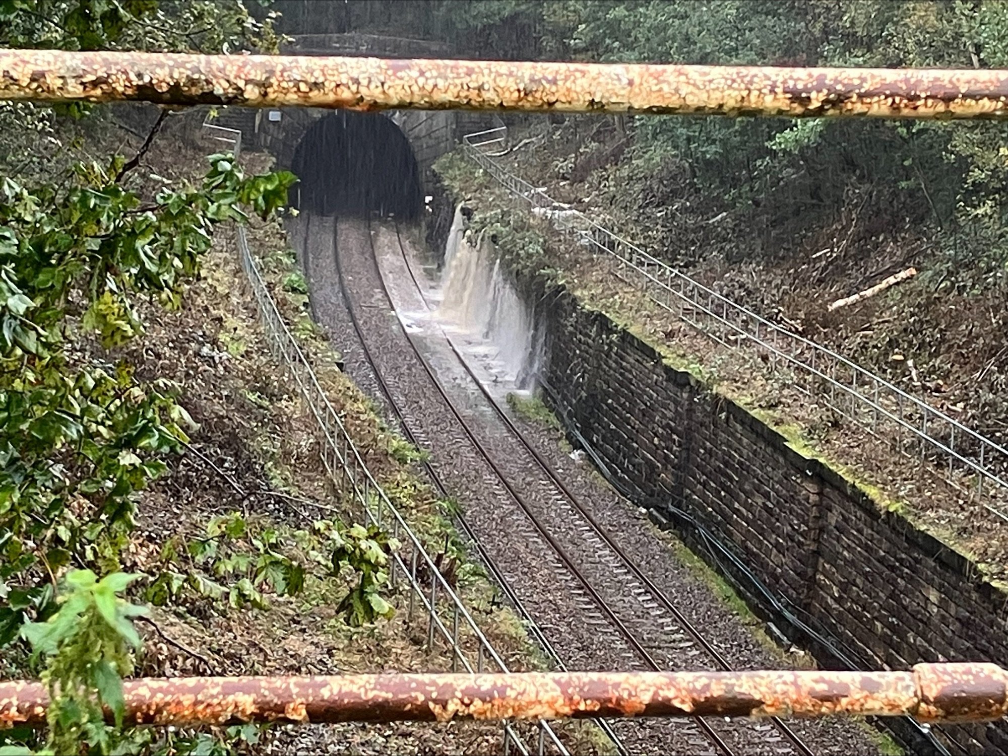 A railway tunnel opening surrounded by dense greenery with train tracks leading into the tunnel, viewed from a rusted bridge.