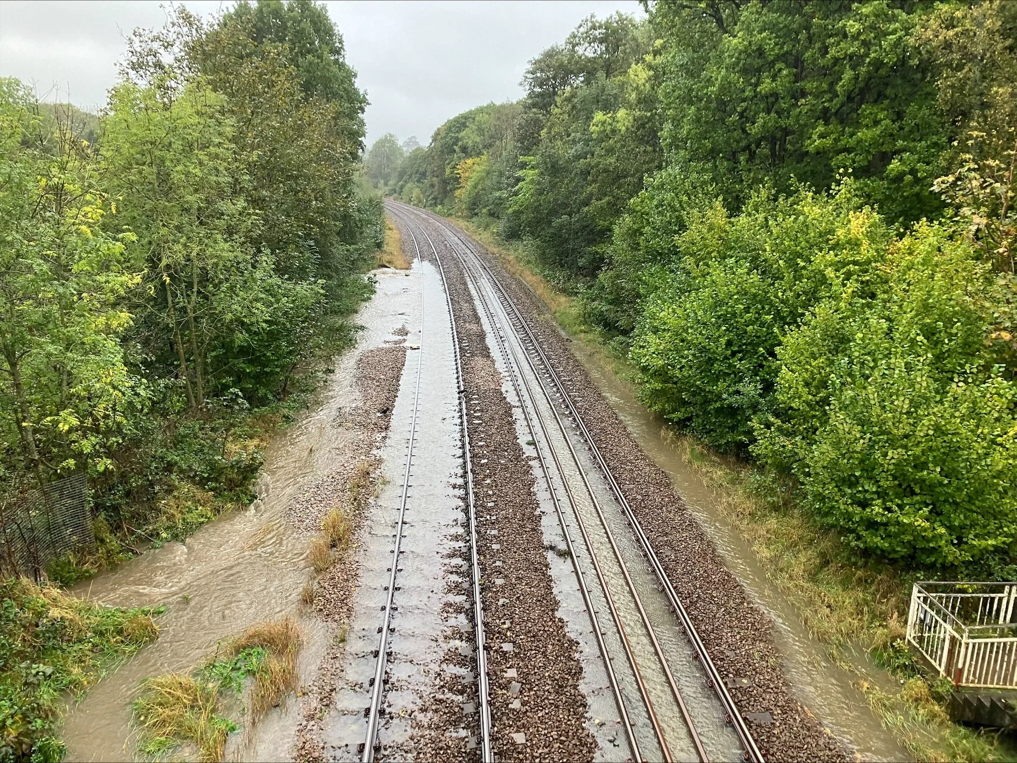 Train tracks with flooded areas on either side, surrounded by green trees under a cloudy sky.
