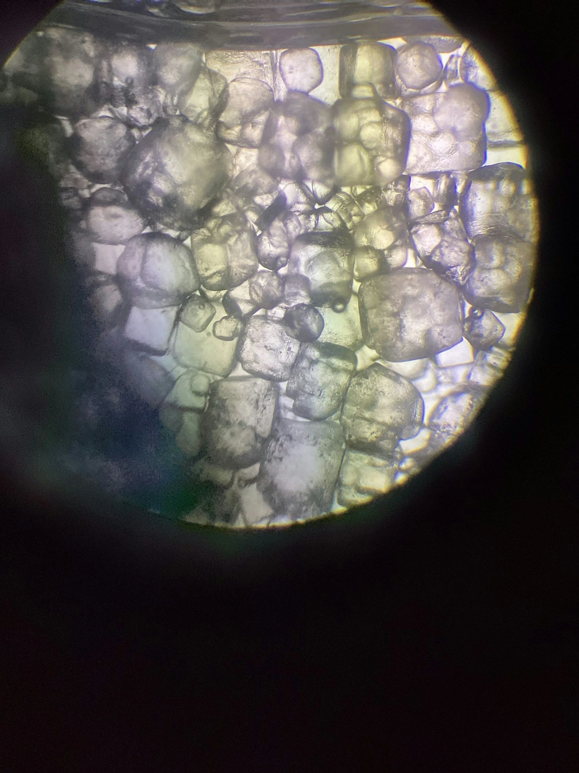 Close-up view of small, irregularly shaped grains or crystals under a microscope.