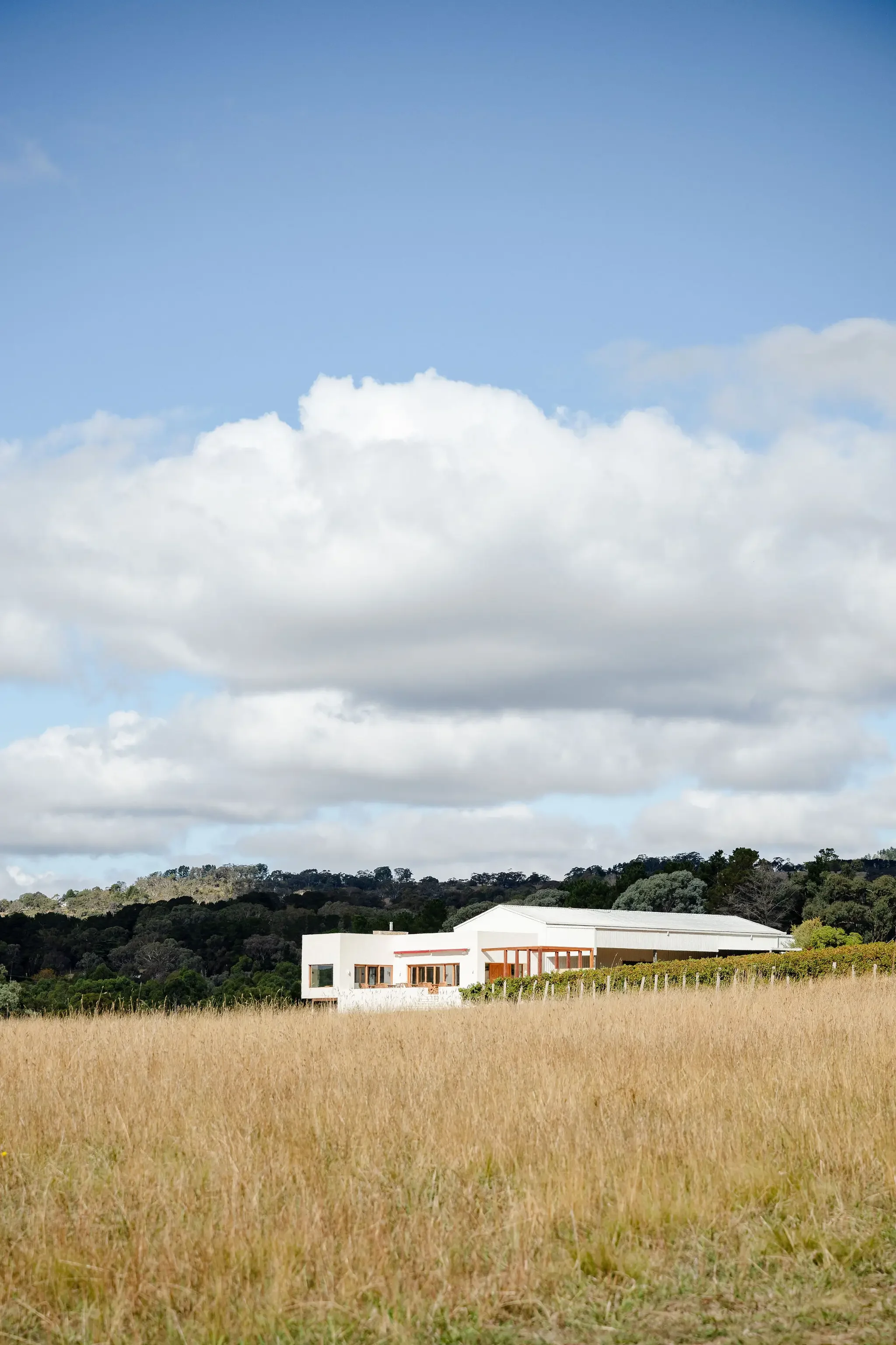 CanobolasWines-CellarDoor-May-MoniqueLovickPhotography-2025-86.webp