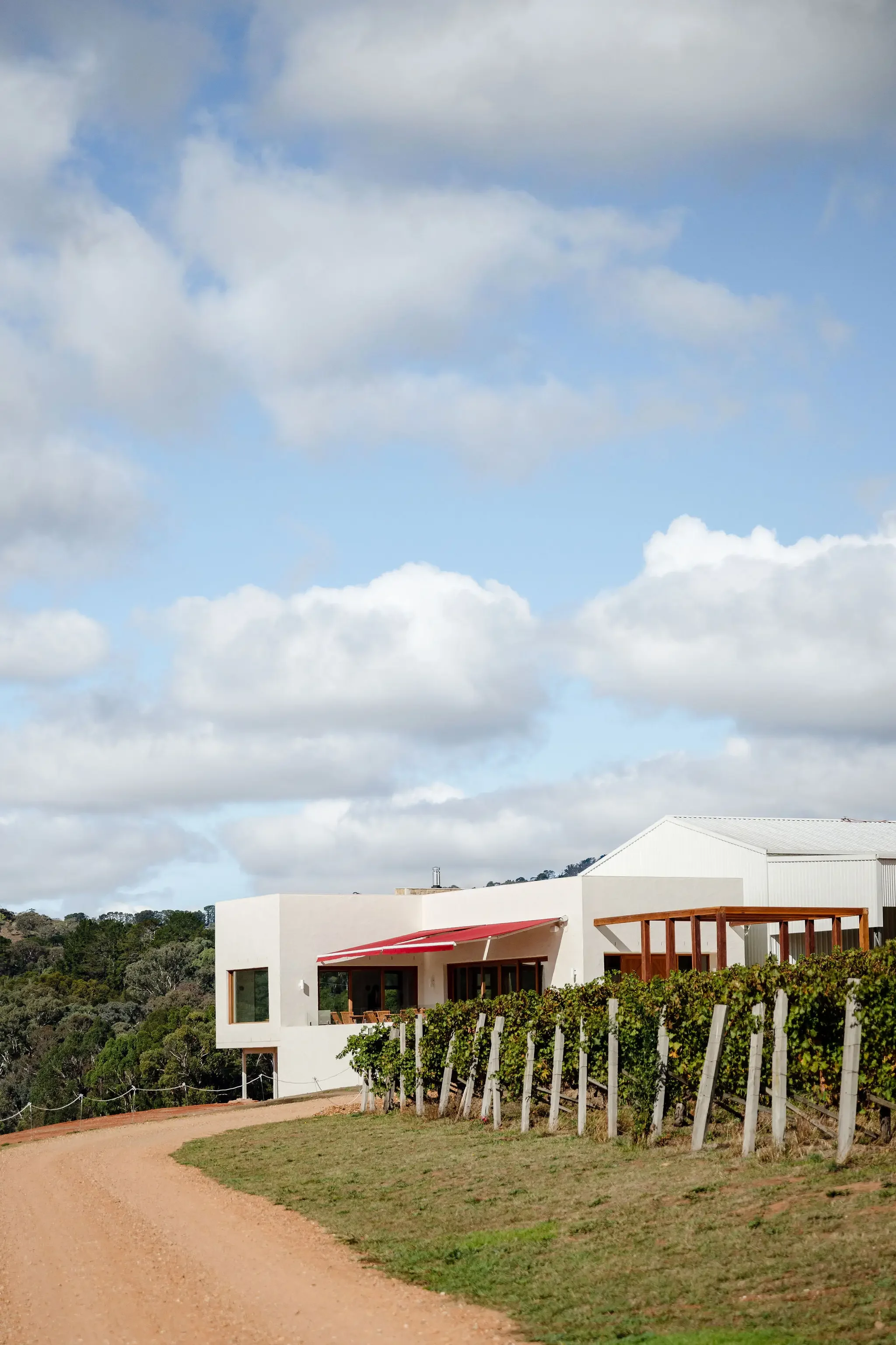 CanobolasWines-CellarDoor-May-MoniqueLovickPhotography-2025-82.webp