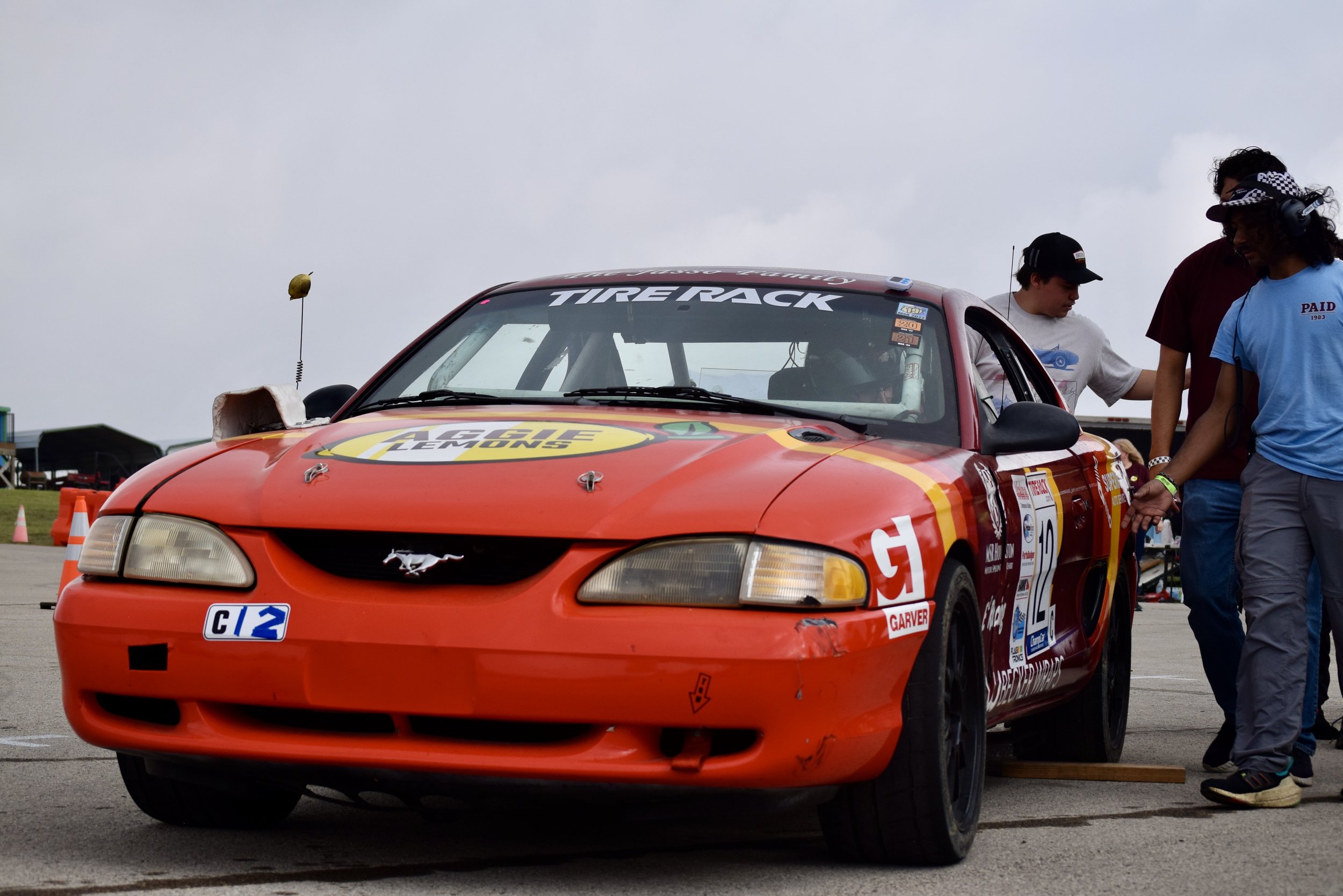 mustang 2.jpeg
